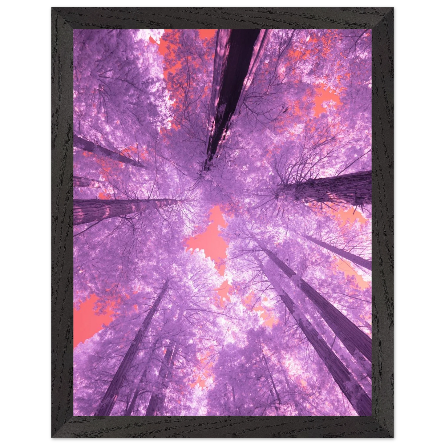 c83c0377-55a7-4196-8b4c-dbff7ec7debc