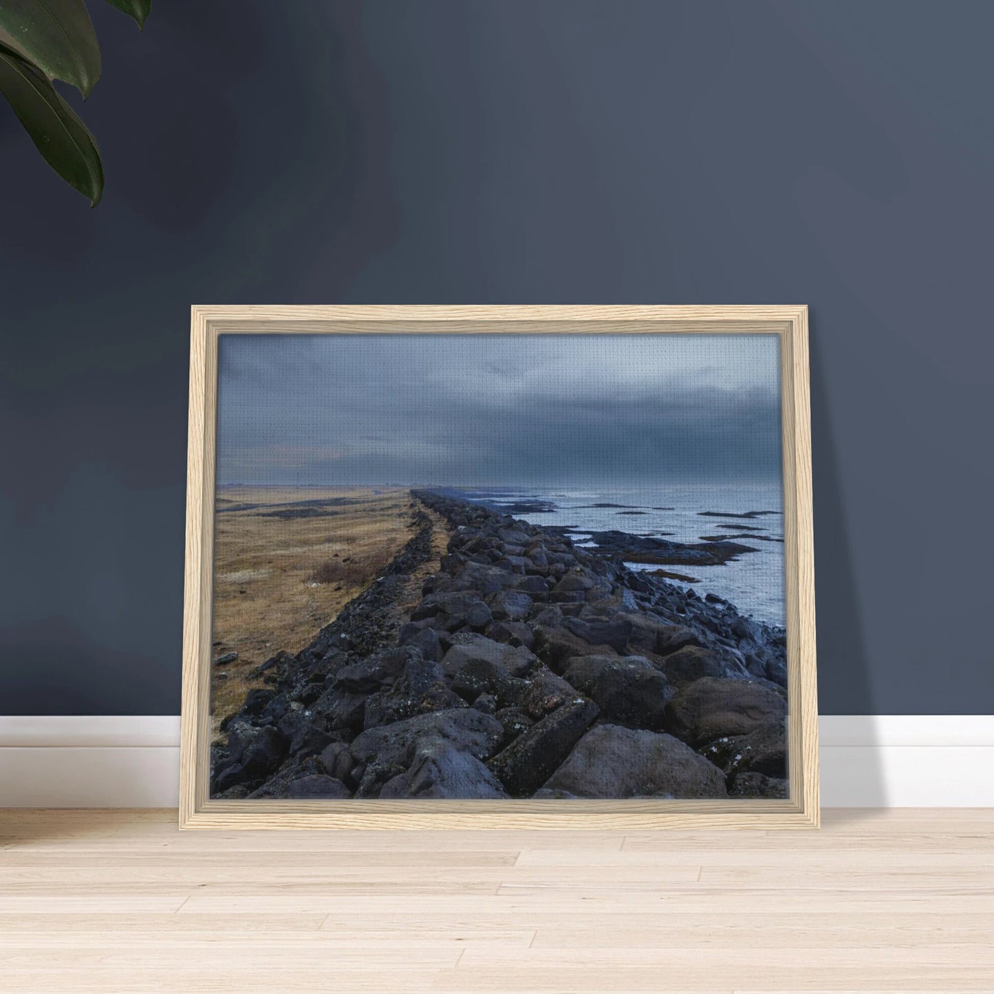 c9204526-3c41-403e-87e7-a1cd00ed5e5a