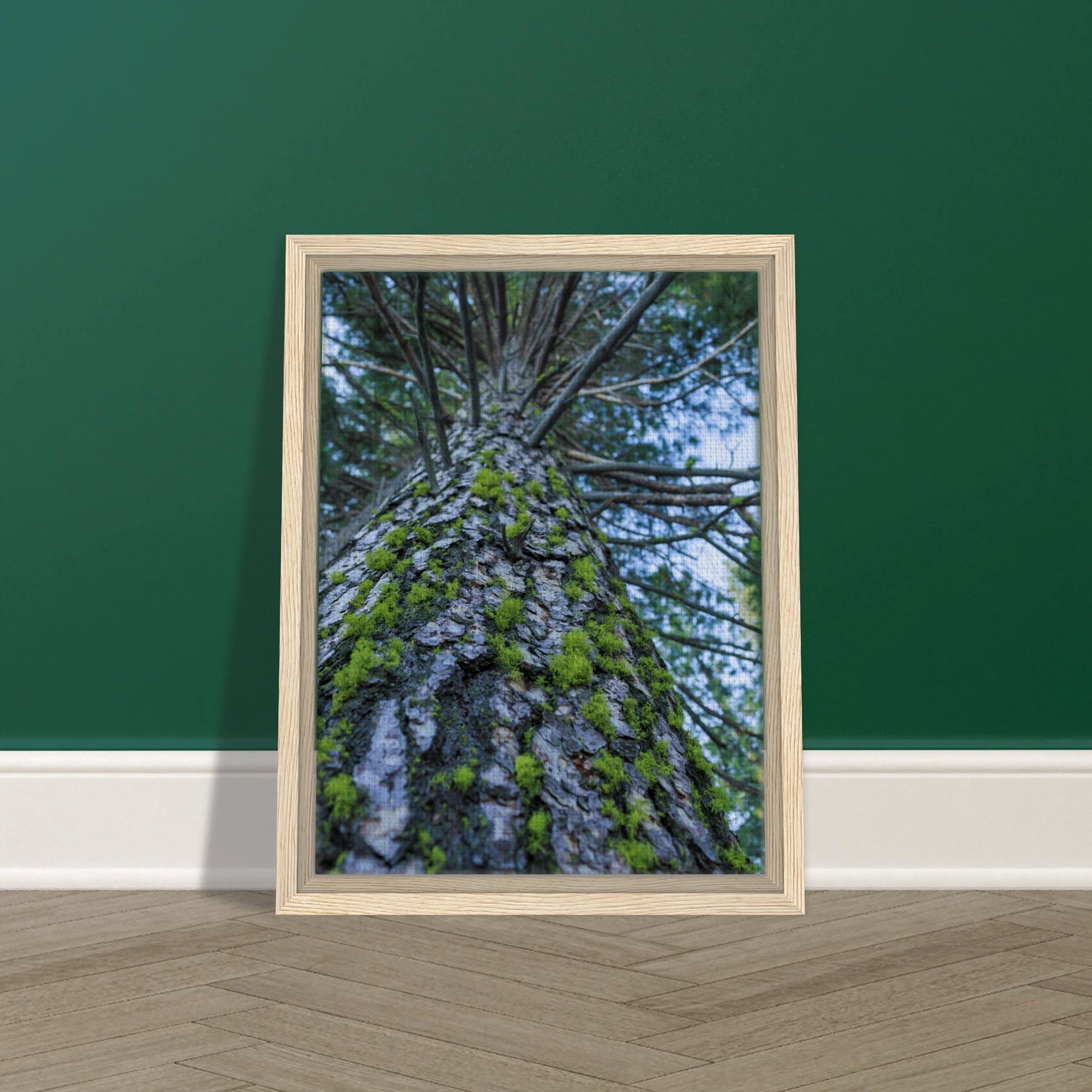 cab87507-18a1-41db-9431-704279d57747