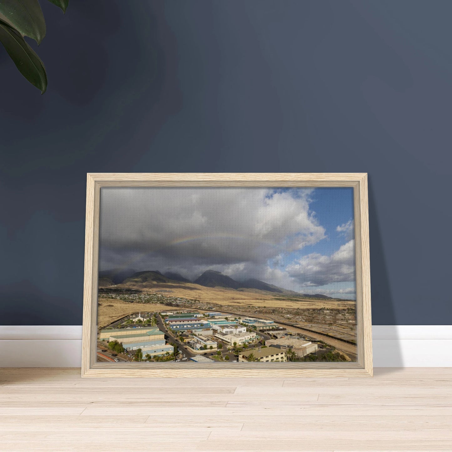 cc3651c1-a718-4816-a1bd-0c4a39f0fd99