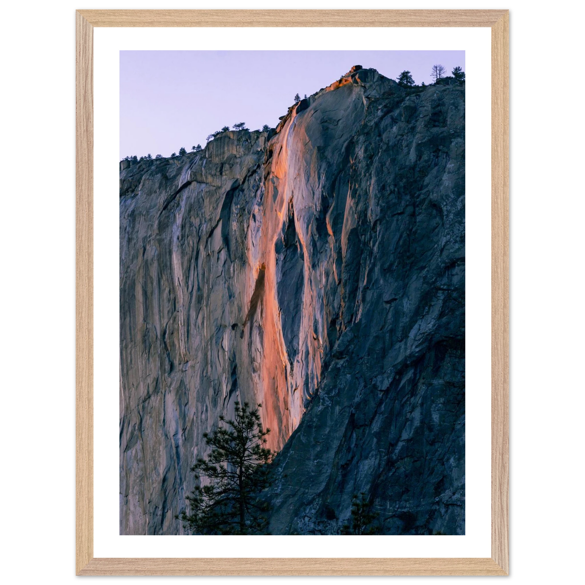 cccd9e15-3084-4522-92e4-888712dc3d17