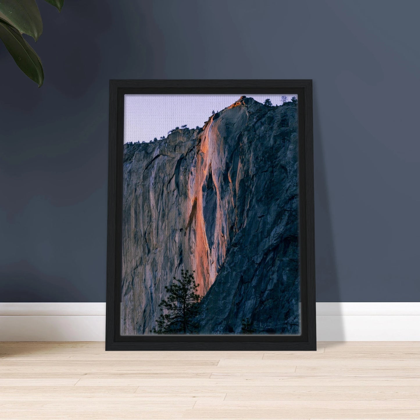 cf8ff440-41d4-4e01-a97c-bec3e8e0c0fa