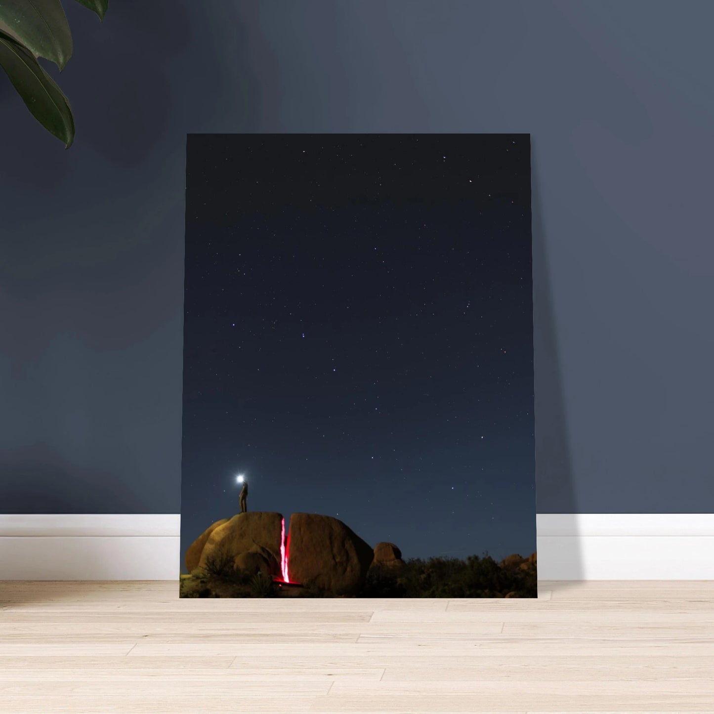 d0683e07-ef81-4c3b-add5-f6fbcbca8867