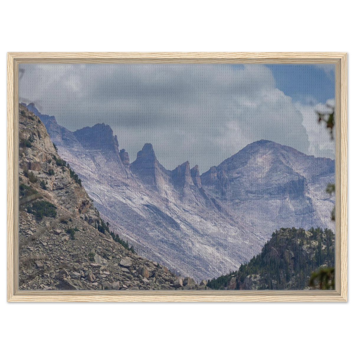 Infrared Redwoods — Dawn Sentinel — framed or canvas wall art preview