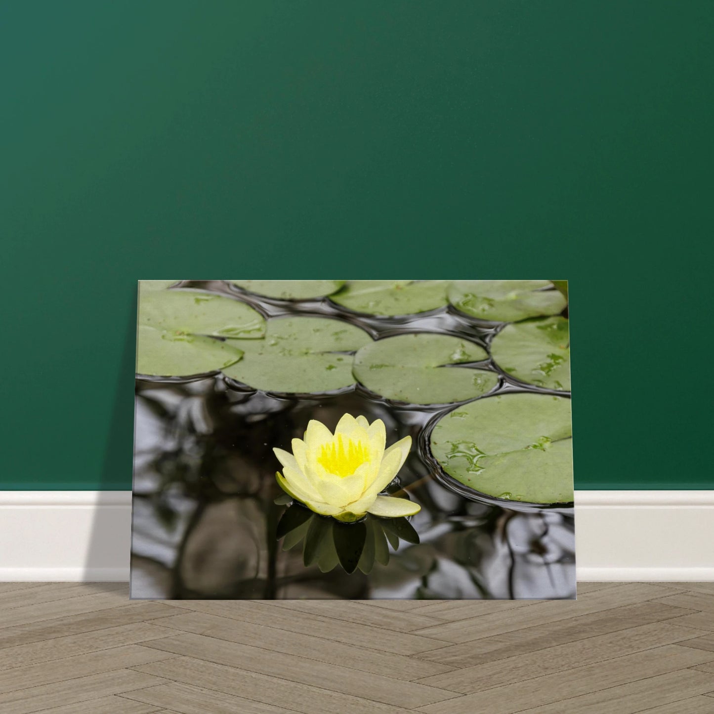 d09f16fb-12c6-4c9b-9a23-4aeebfeba7ef