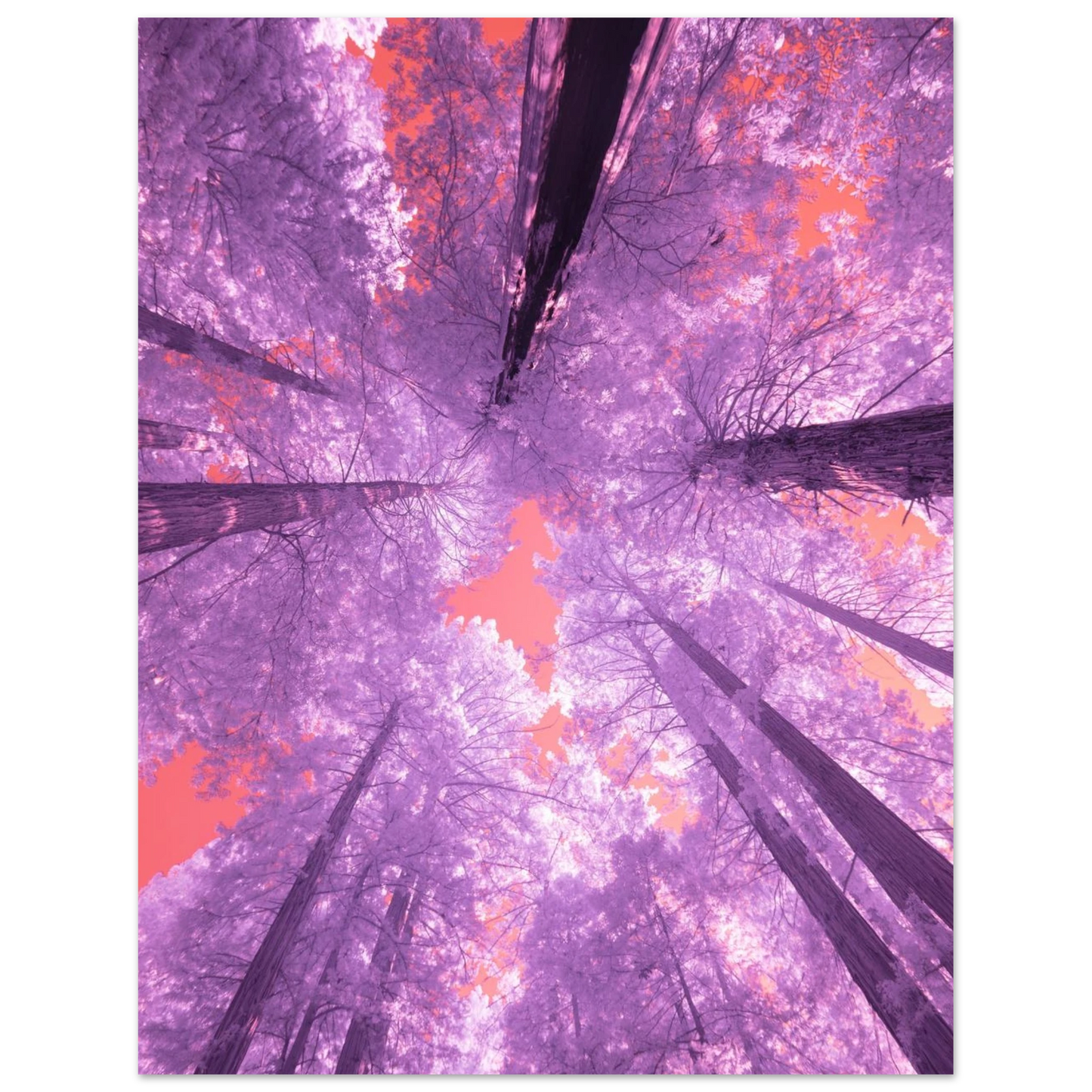 d0b87577-8c2a-403d-8b6d-49ebede4e78f