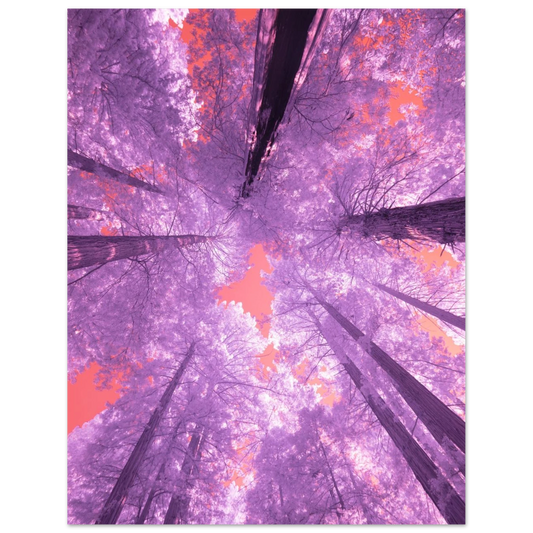 d0b87577-8c2a-403d-8b6d-49ebede4e78f