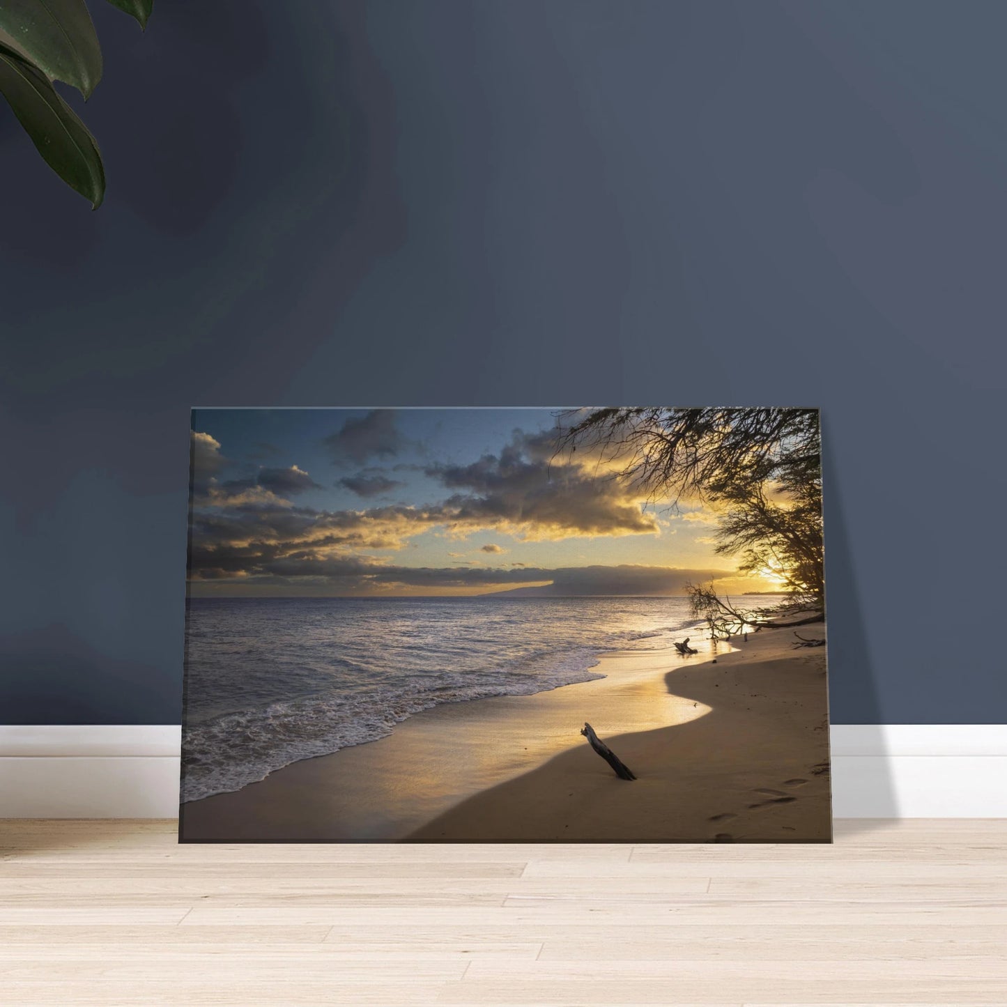 d1babfb6-0d13-49d5-831e-78304fa85435