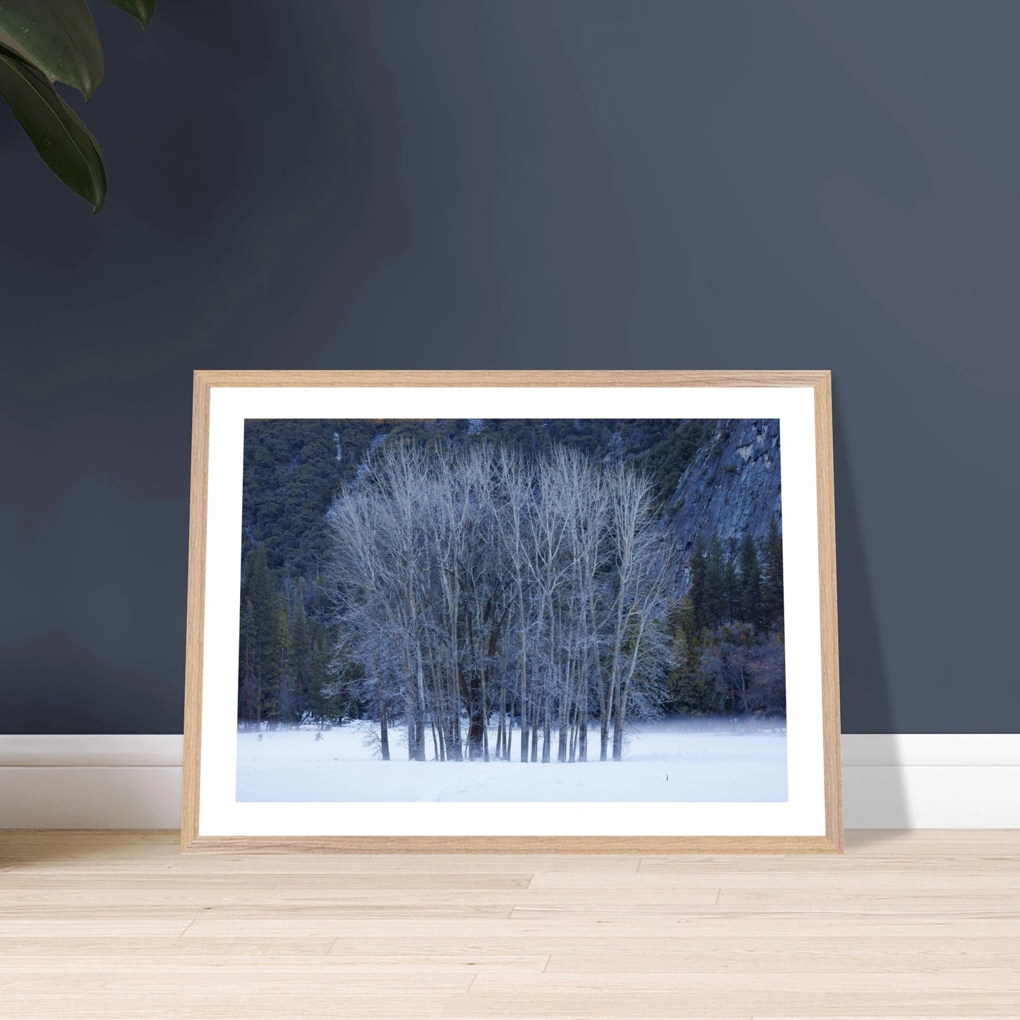 d250660a-6445-4b14-b529-63f3f3ef02a6