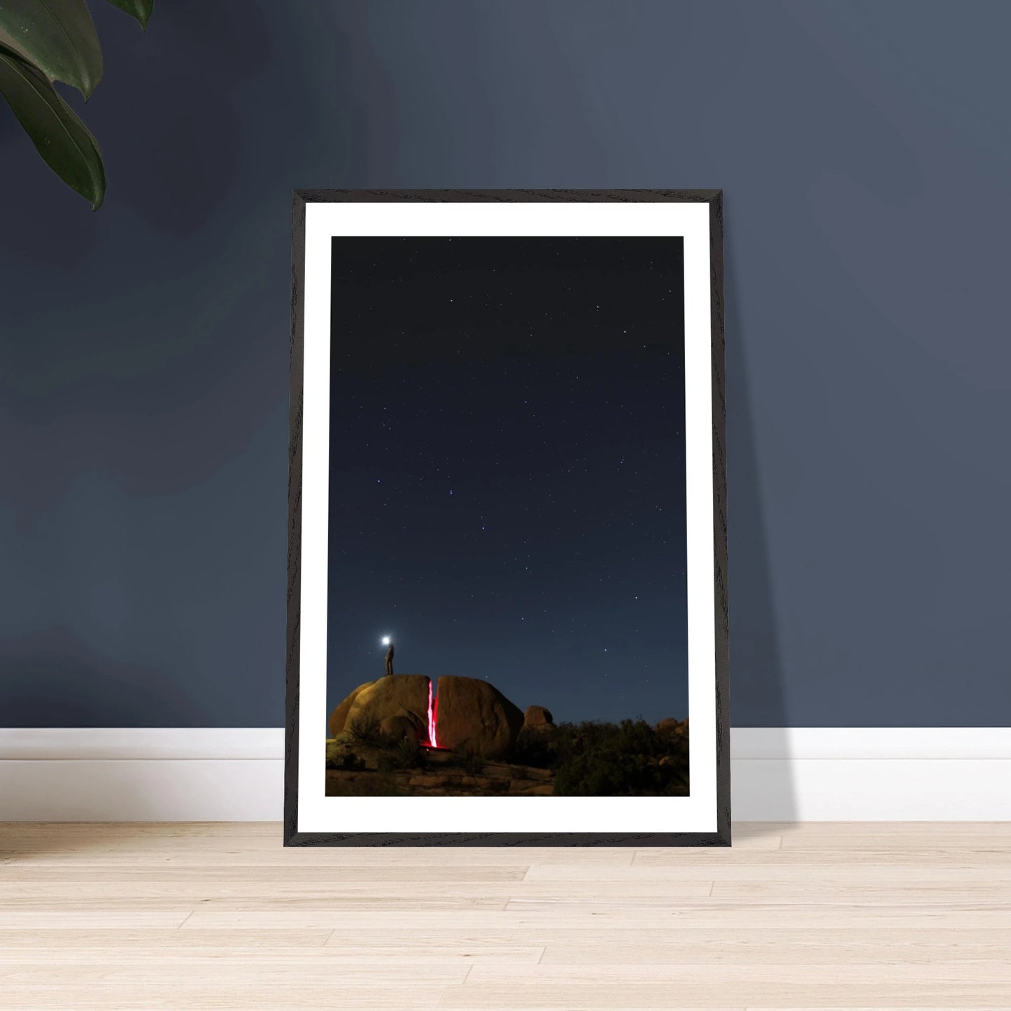 d338e034-edae-40e9-a11e-e2a088395f68