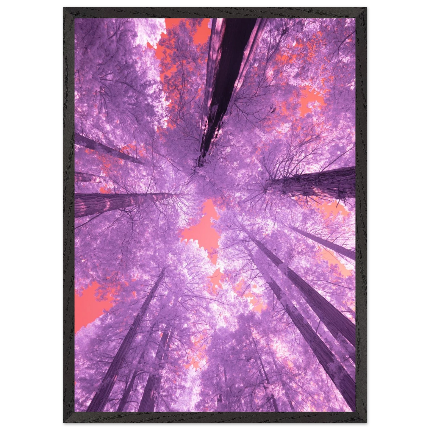 d48d0d4e-7c35-4ade-9e63-06f9dd0cf53a