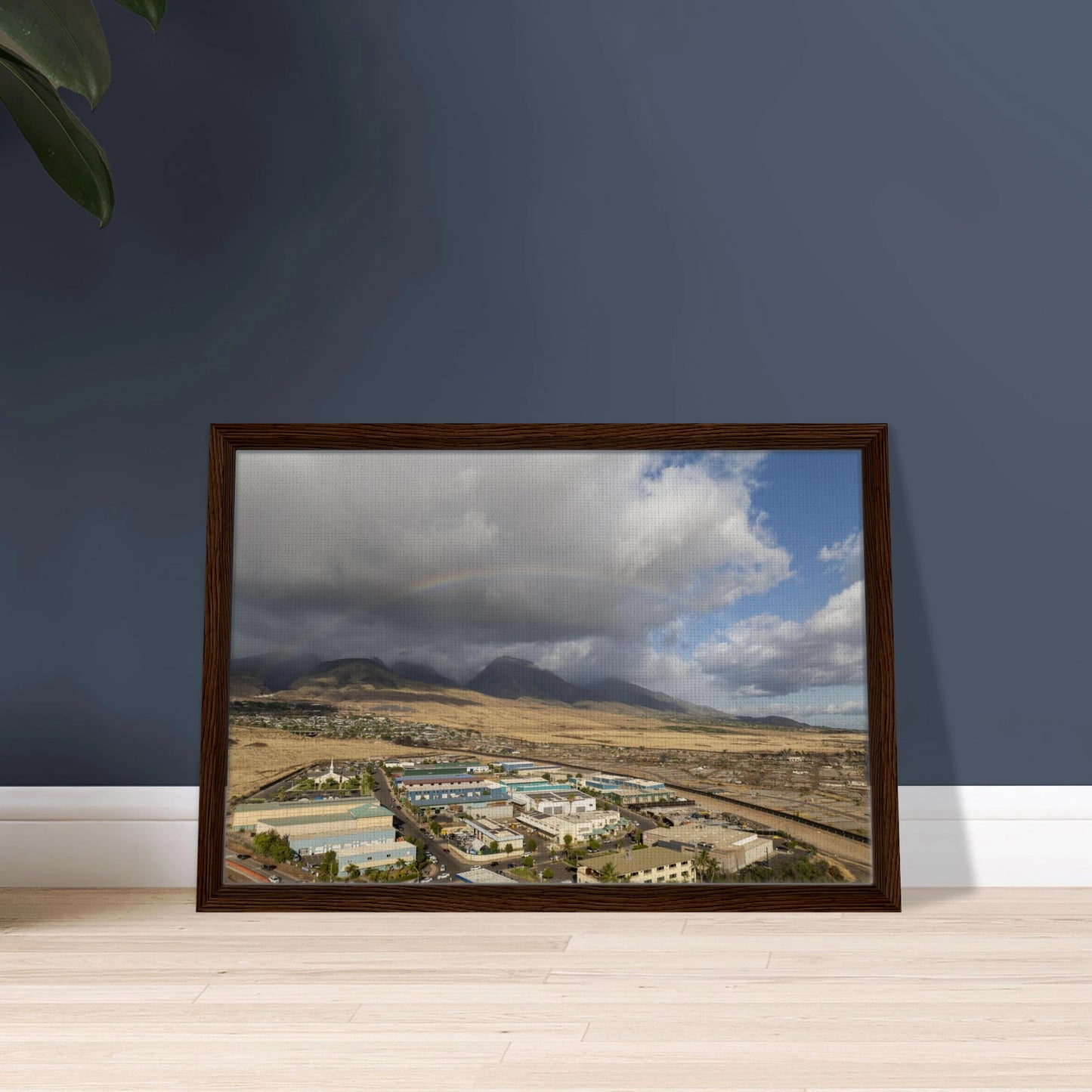 d52c78f4-fbe5-4d56-8d9a-3b531ed31bfa