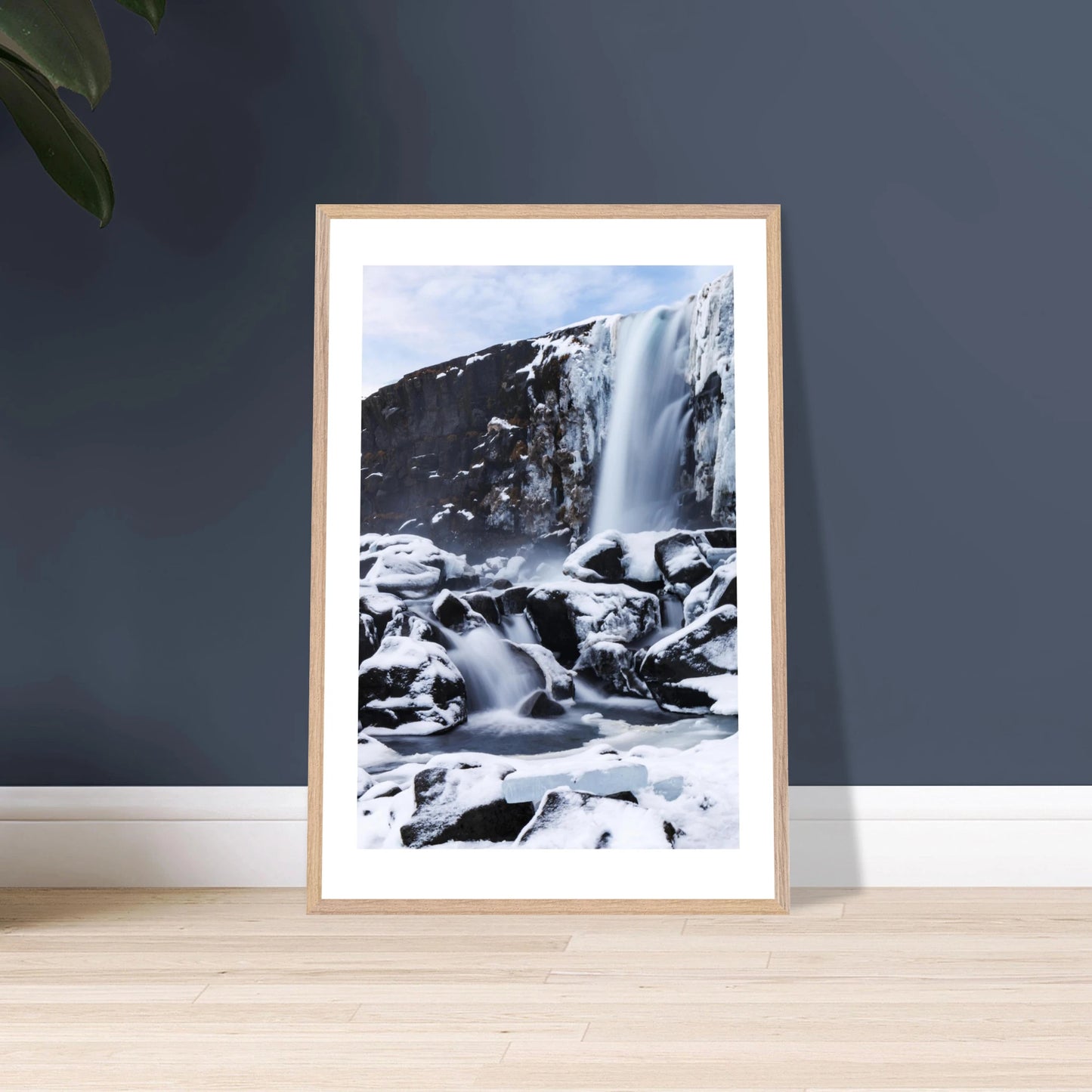 d558da1c-c581-478b-bc58-82f462d54def