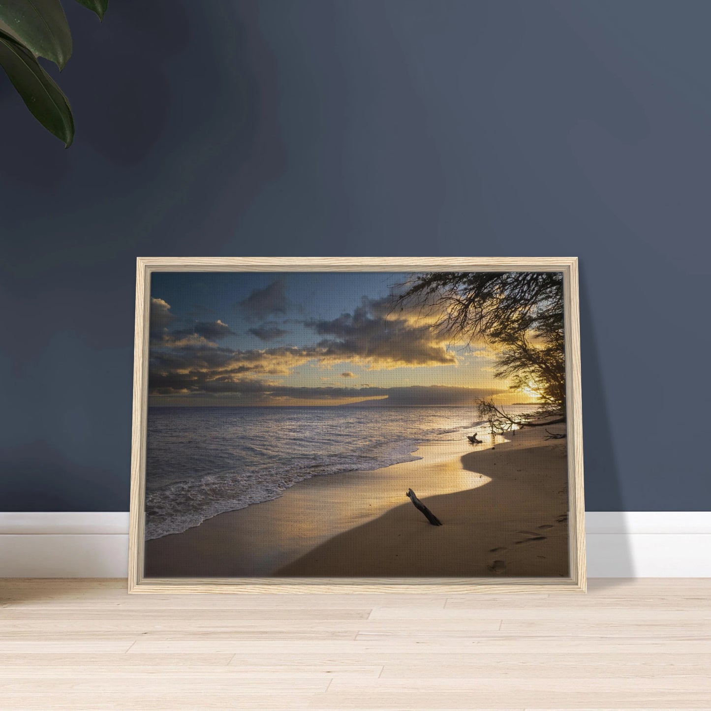 d622fa71-ef7c-445e-b1dc-99d141b2f3c0