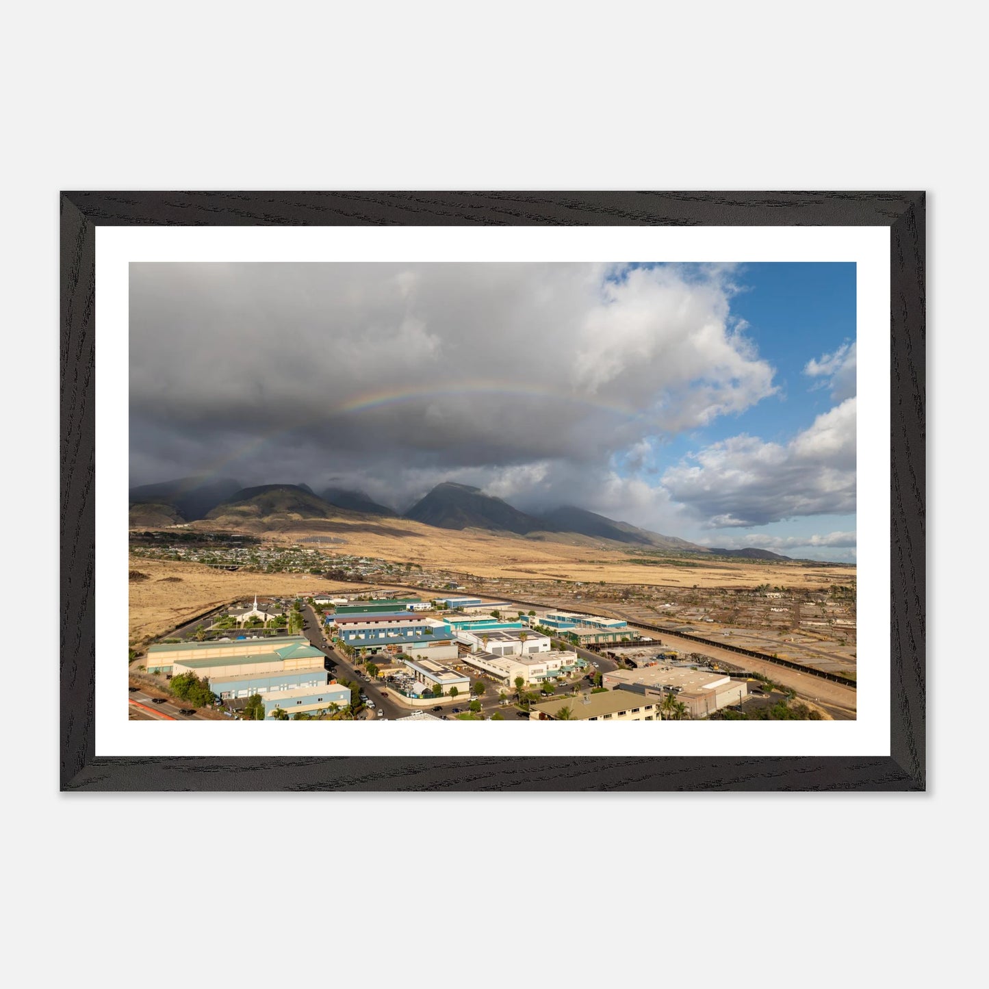 d6c8af51-9948-486d-b075-16a89ae845db