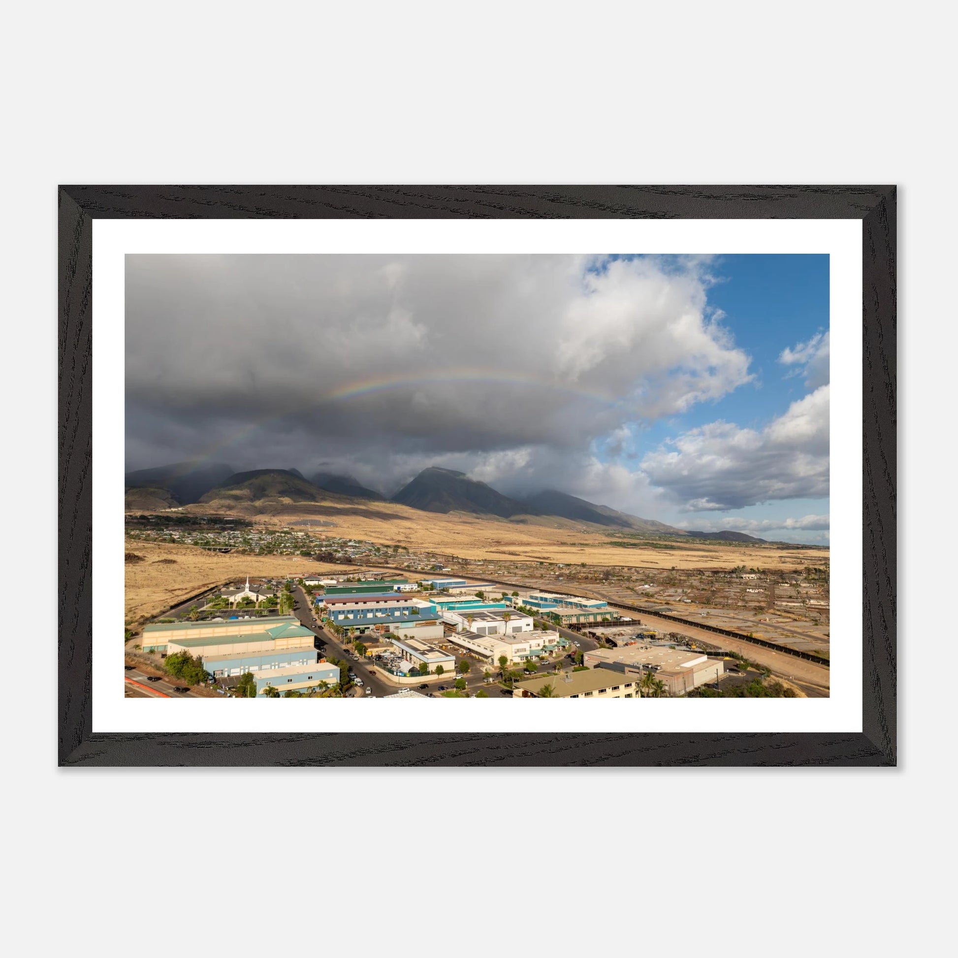 d6c8af51-9948-486d-b075-16a89ae845db