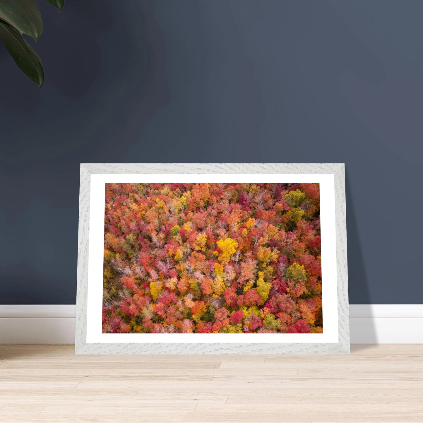 d756153e-3fd5-4d1b-ae15-9f48d3aa4220