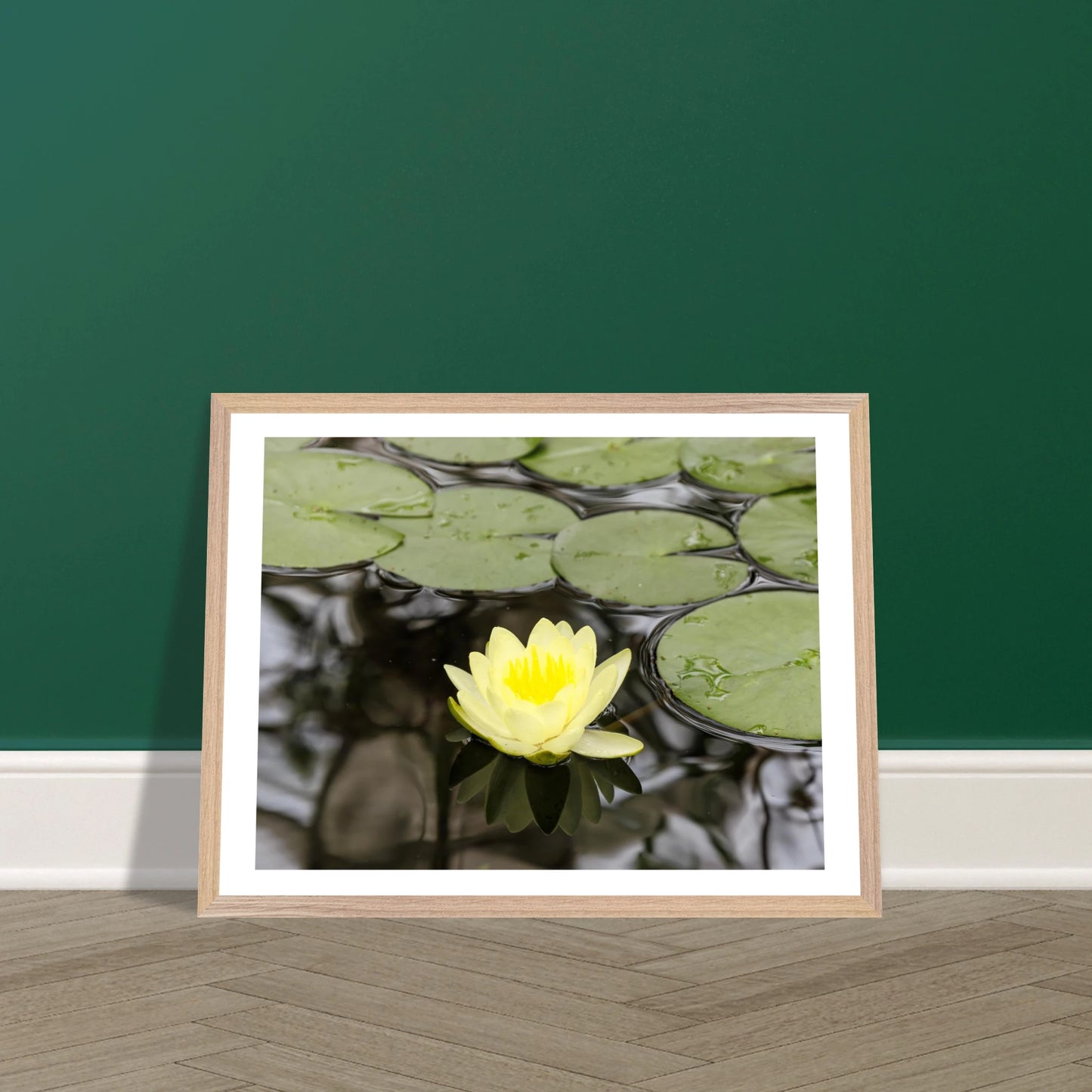 d7e26744-0434-47ee-8d05-30f1e9ae5262