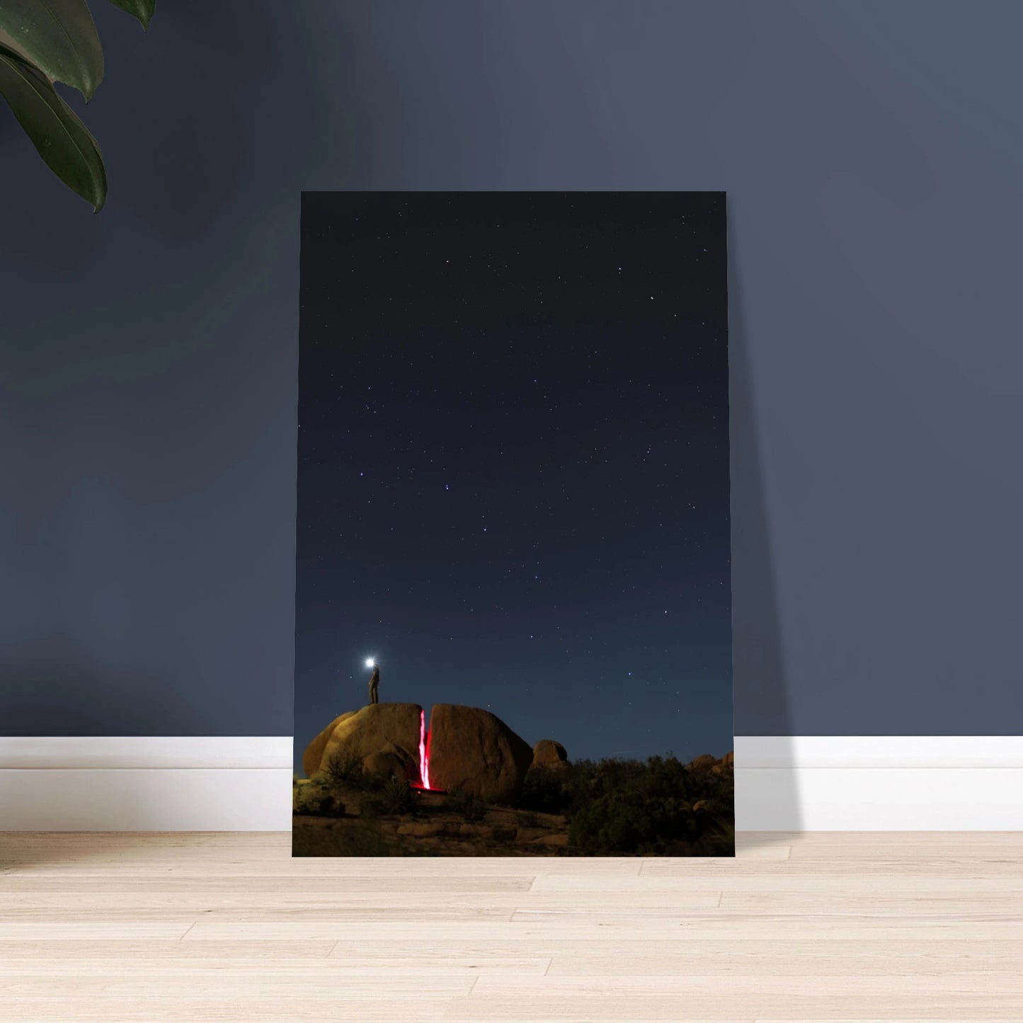 d831db80-6913-4cfb-ab03-f2acc9f4d4ef