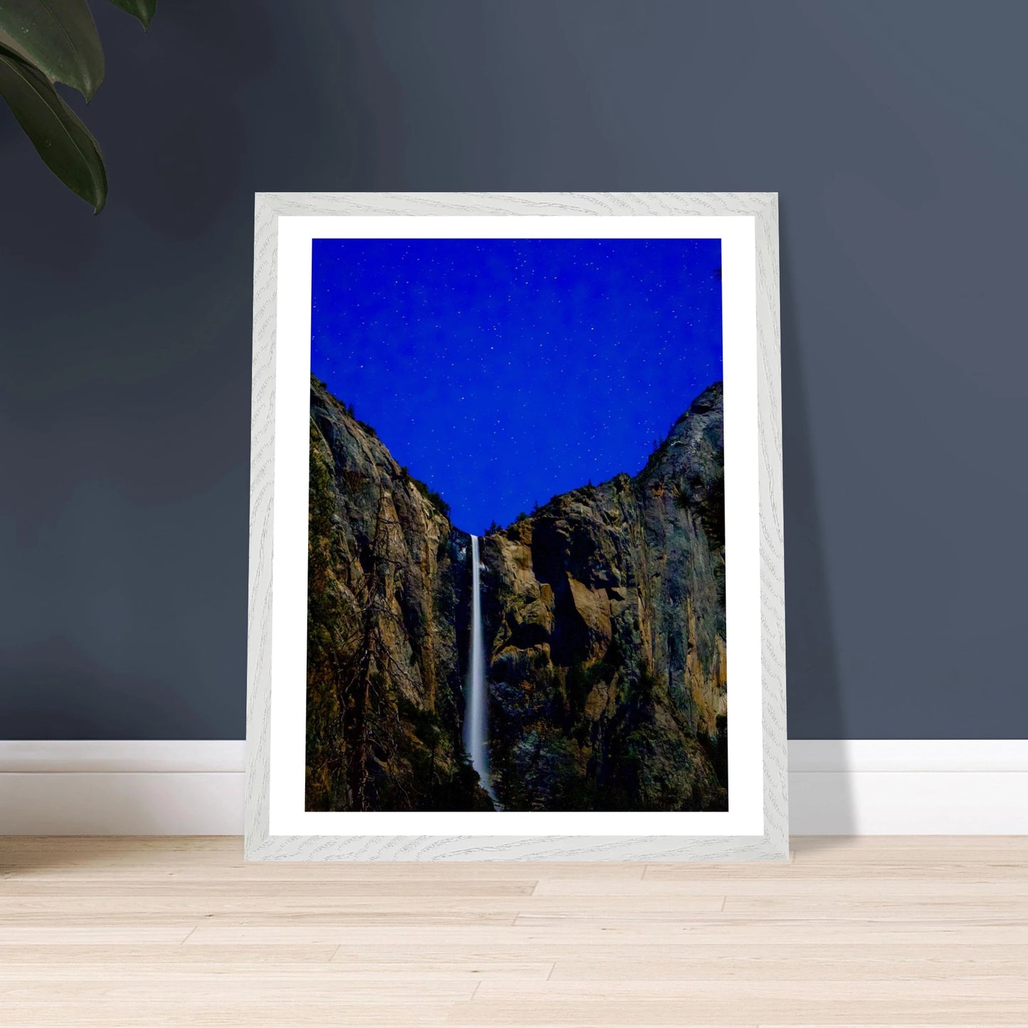 d8c72ff1-2d44-43ff-ae20-0e52c5def9f1