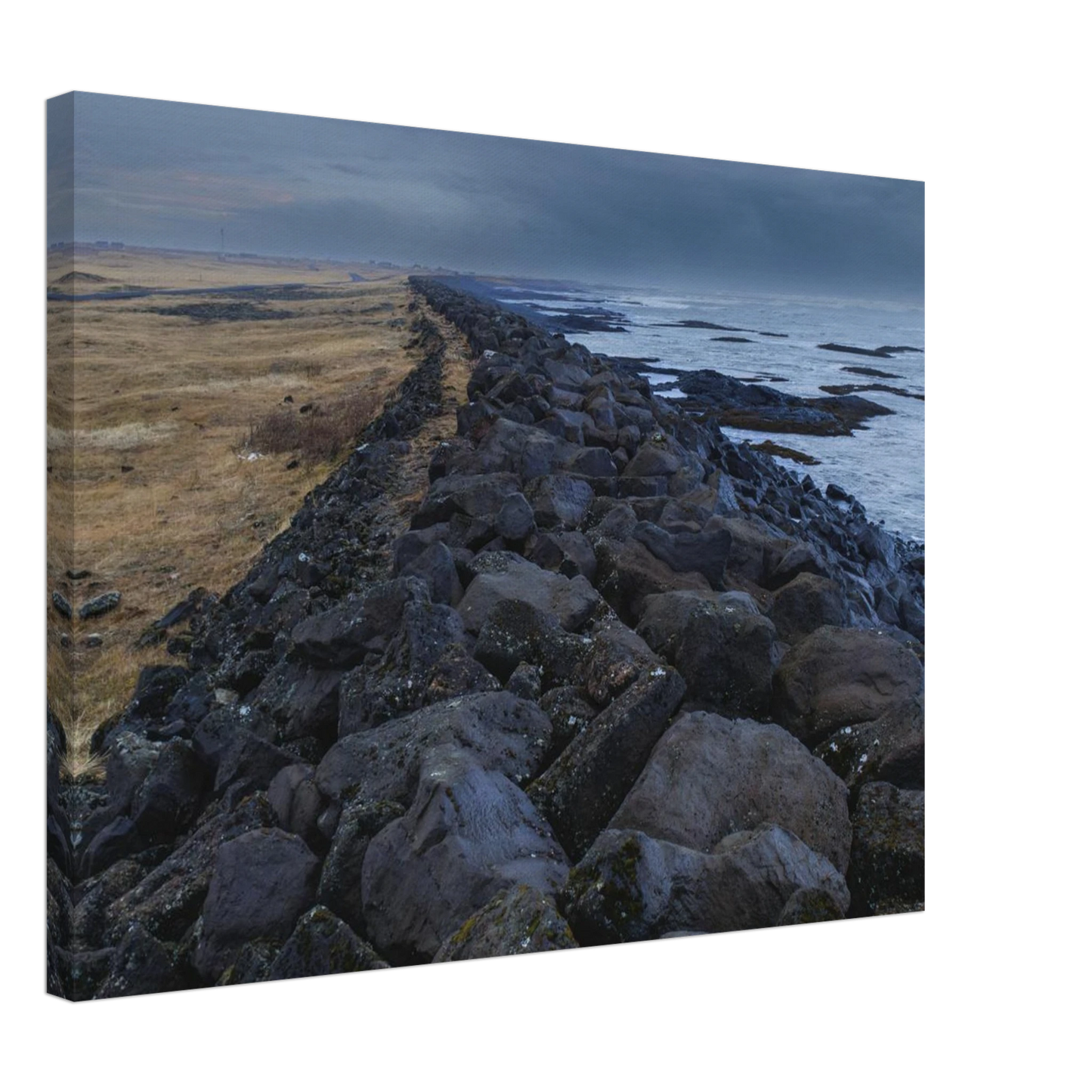 d99b855d-b9ab-4570-a3a6-b1f1c2bed0be