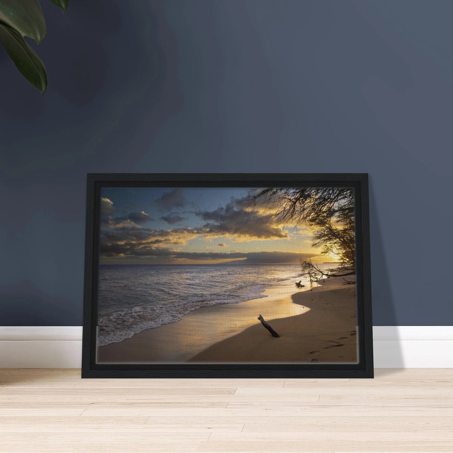 da823307-26f2-482f-855f-c4cff4fe56d6