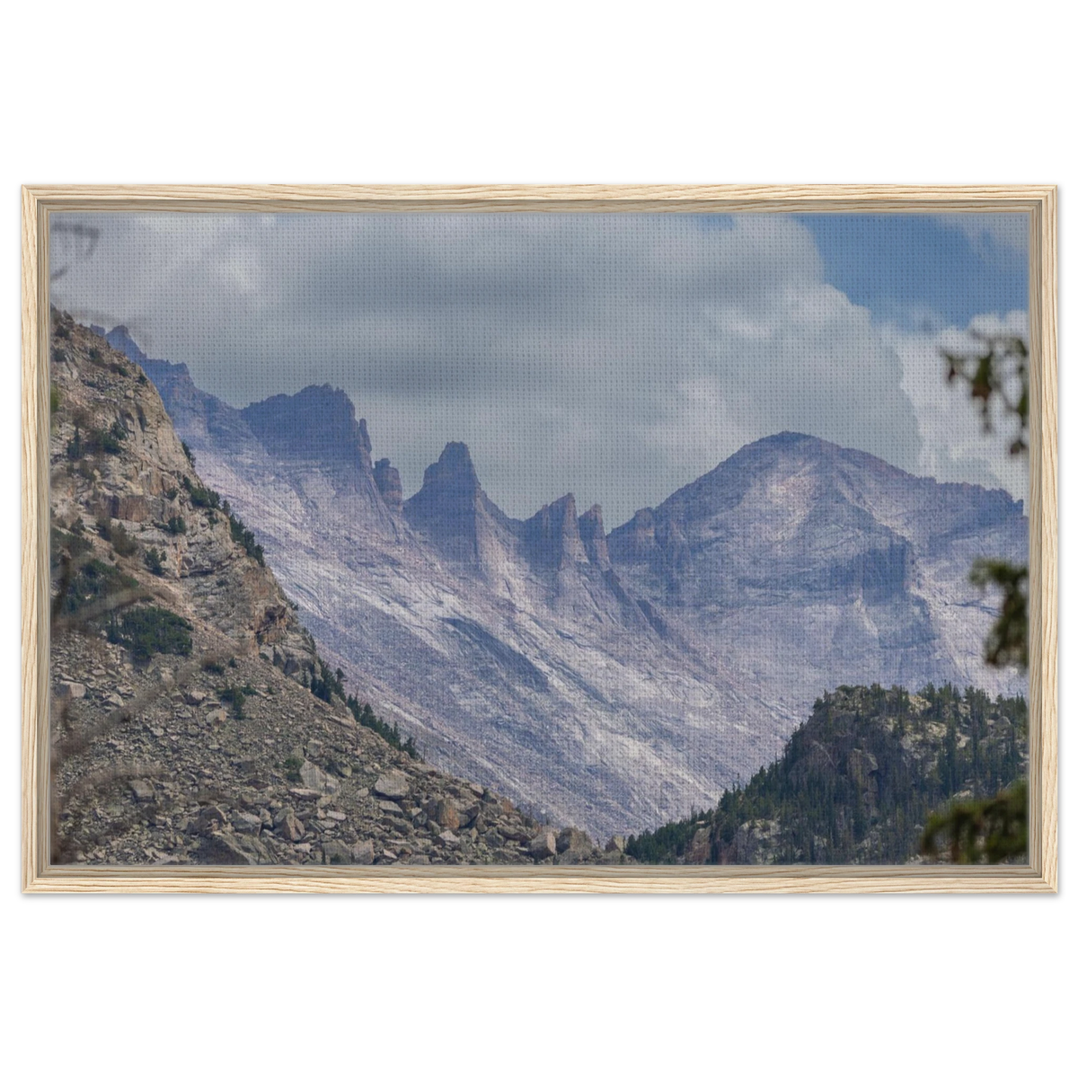 Infrared Redwoods — Dawn Sentinel — framed or canvas wall art preview