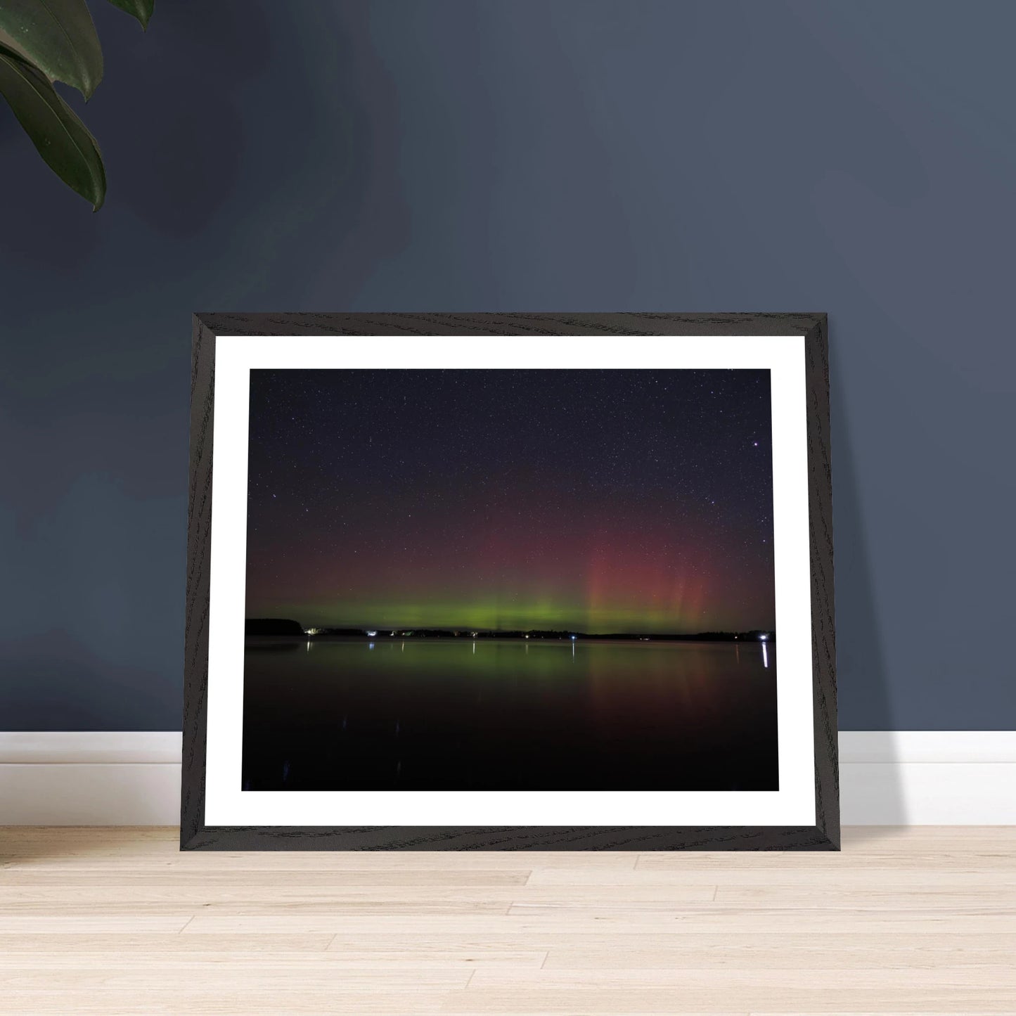 dce4182b-98d6-453c-bb9f-4773e251ab38