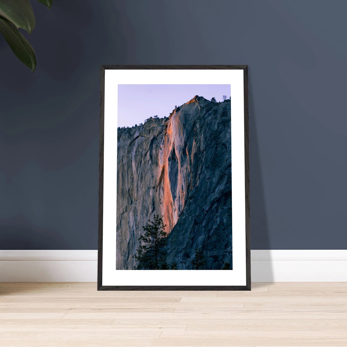 dd0219ef-054d-4e10-bb36-d3587a35cc8e