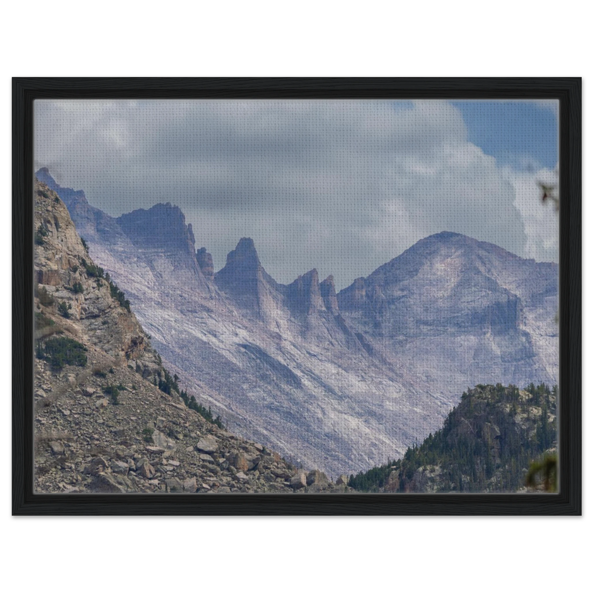 Infrared Redwoods — Dawn Sentinel — framed or canvas wall art preview