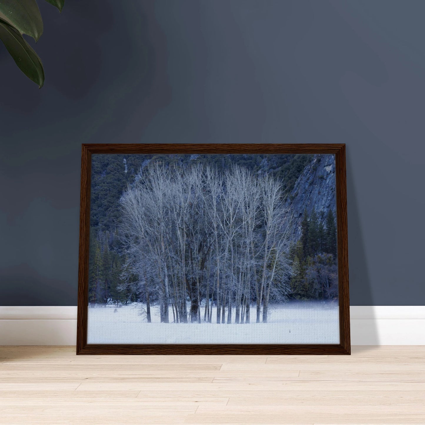 ded5b9a8-9236-4b21-9c57-73a8142100f0