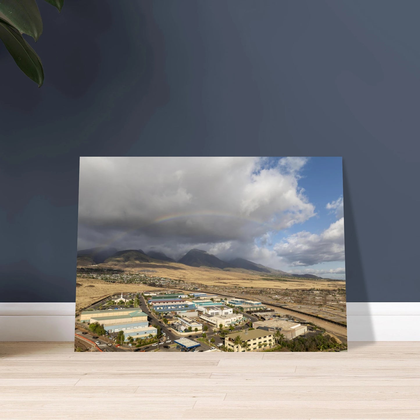 e036110c-3718-48d9-8645-a34f94d467f5