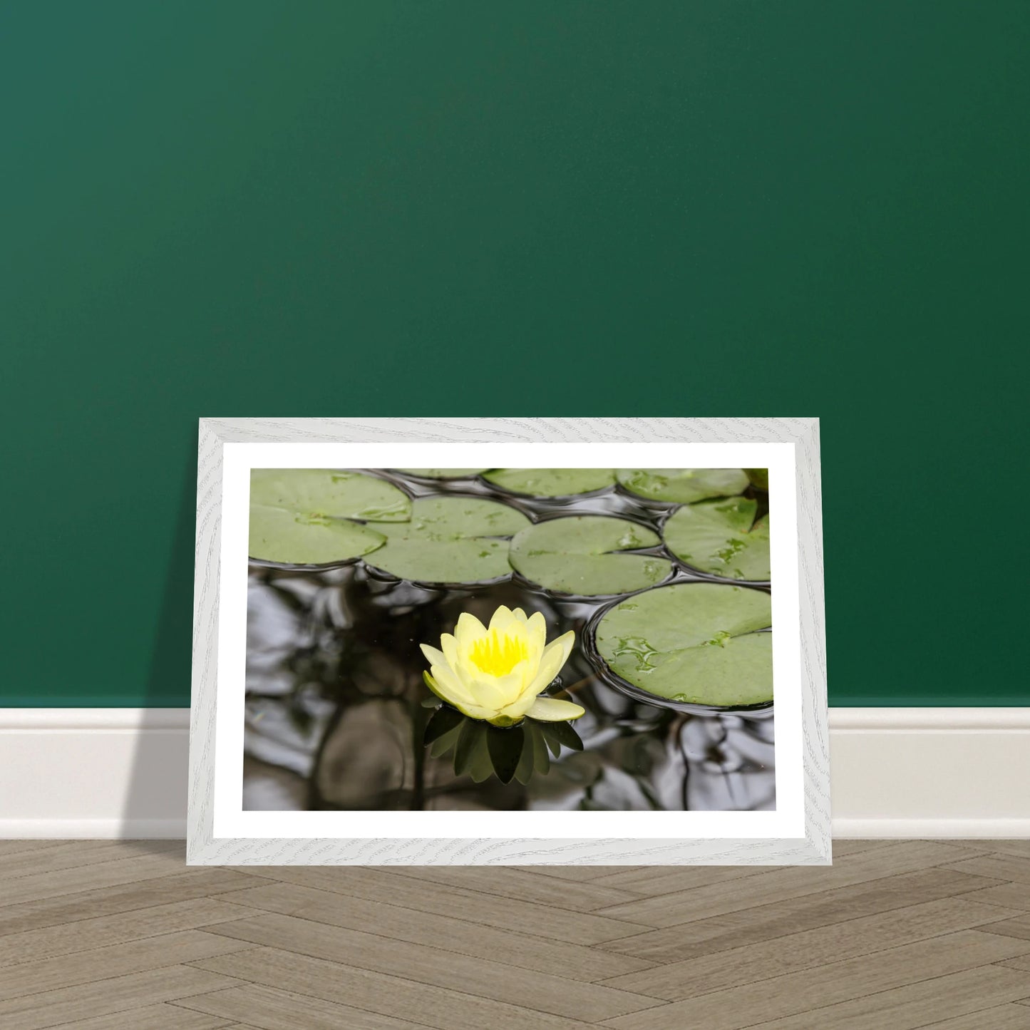 e0c8ef6c-70f9-471d-8e7e-d6fe51cb279b