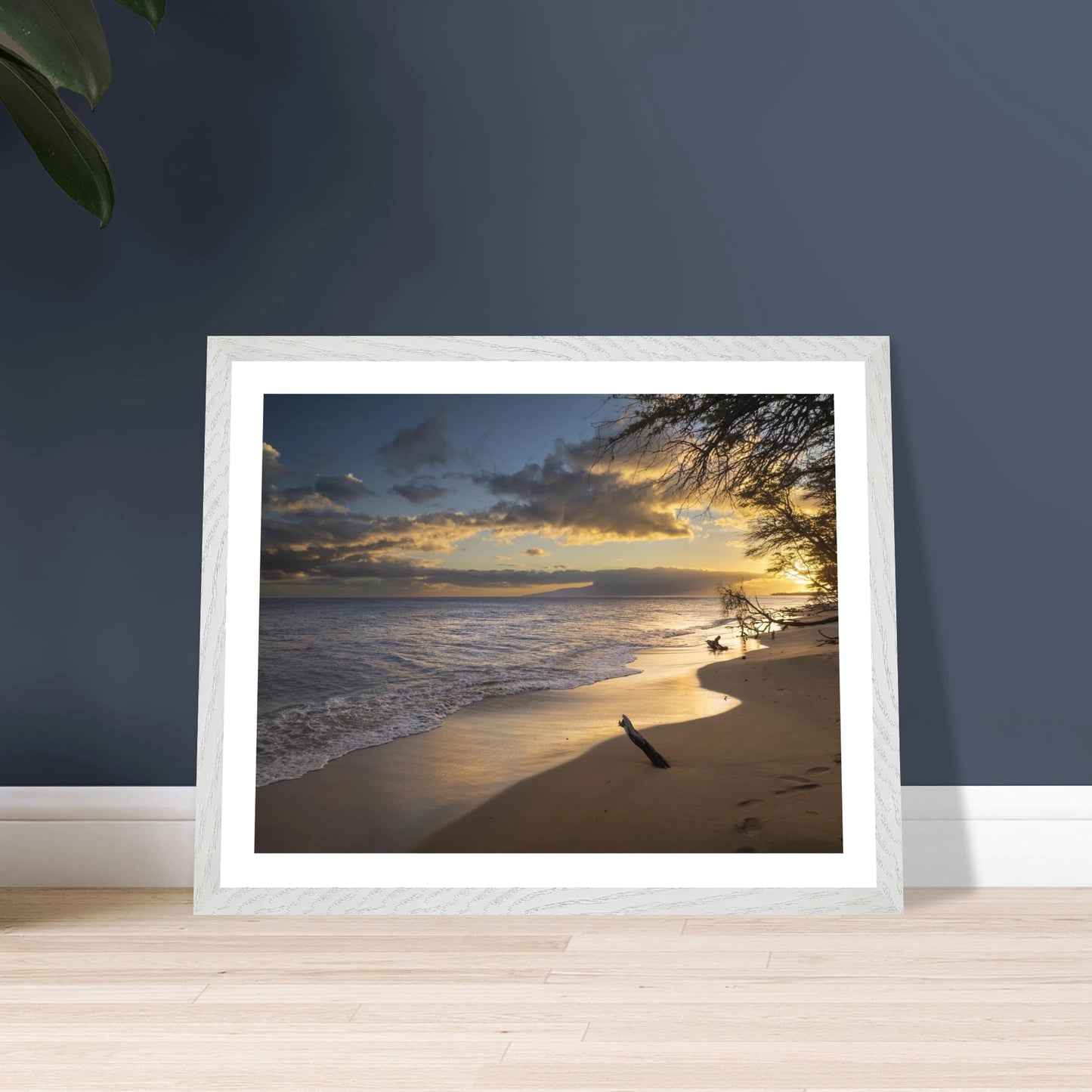 e19d8ff7-9afb-409a-8a51-911a37c74ec4