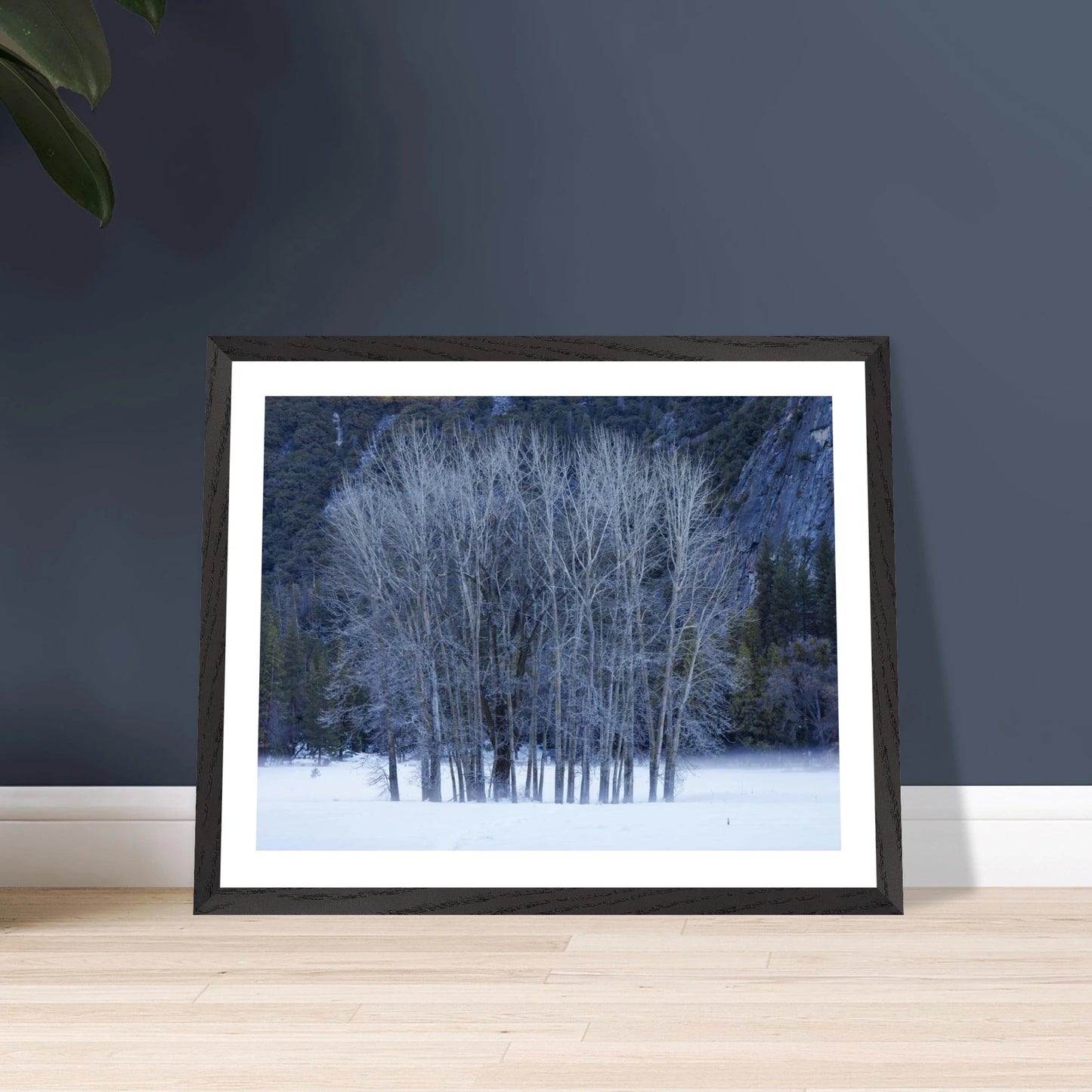 e1f8a65f-8756-4a60-83ed-14aa1047380d