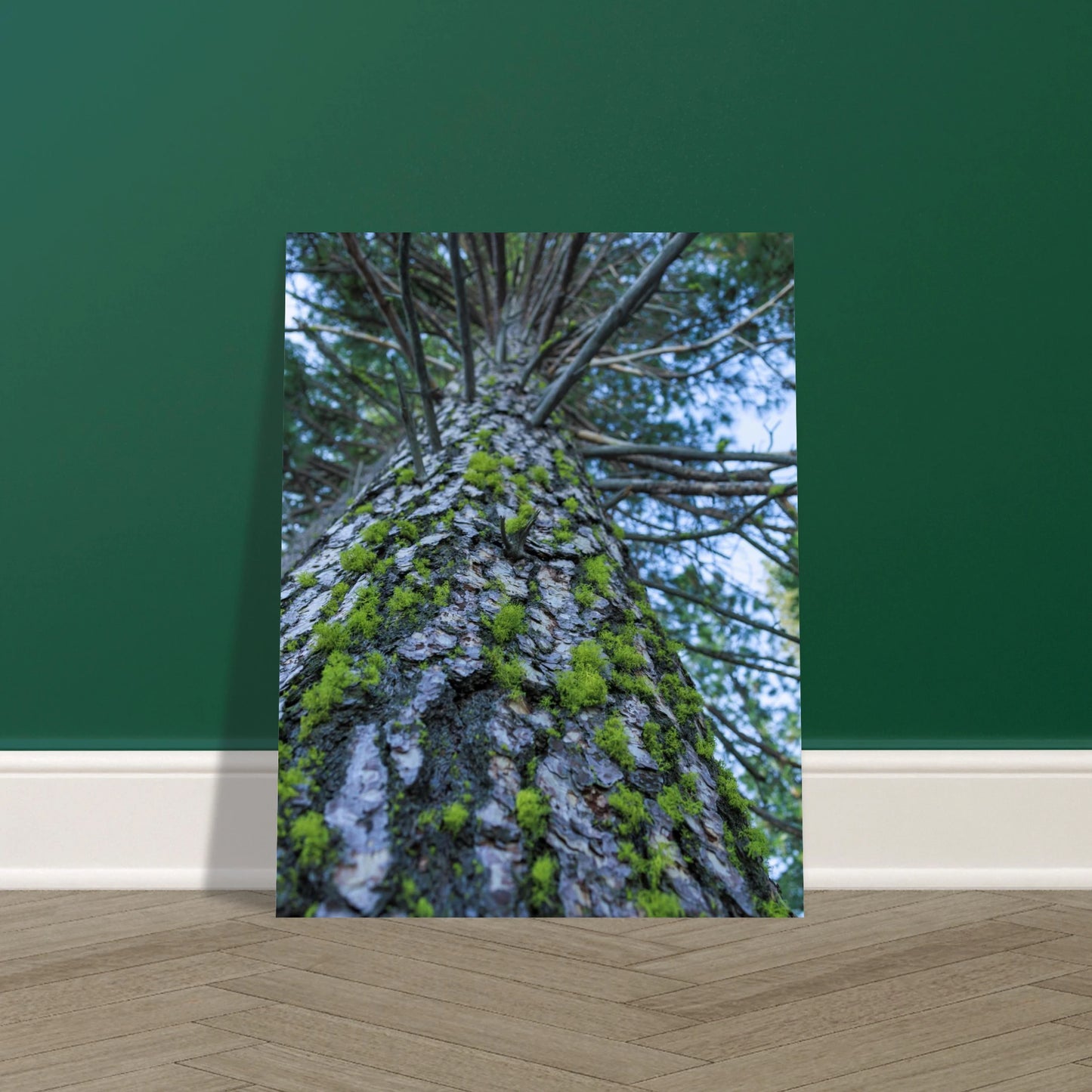 e3e90c41-6c7e-4e95-80a5-05536d336e24