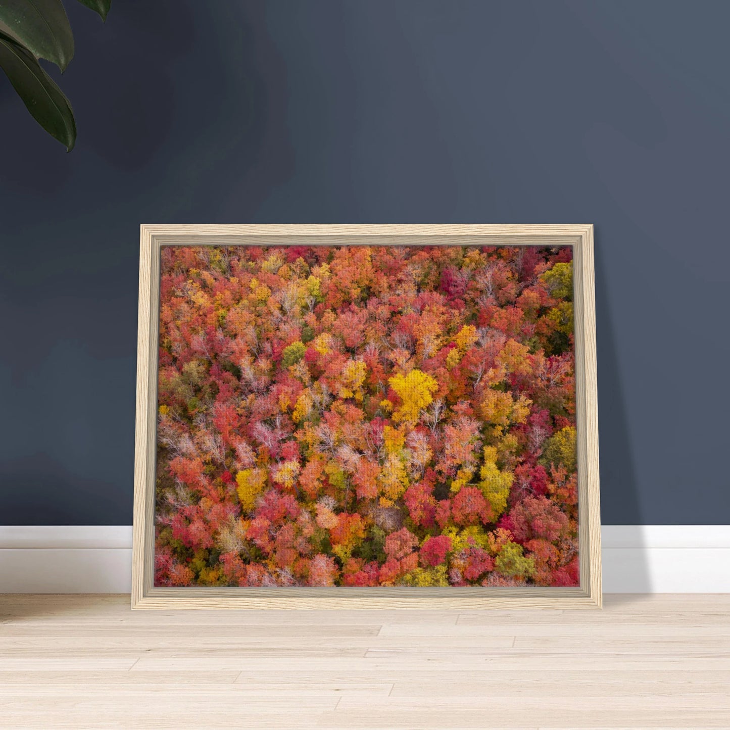 e425486b-14b0-44b2-9342-757b71bbef8f