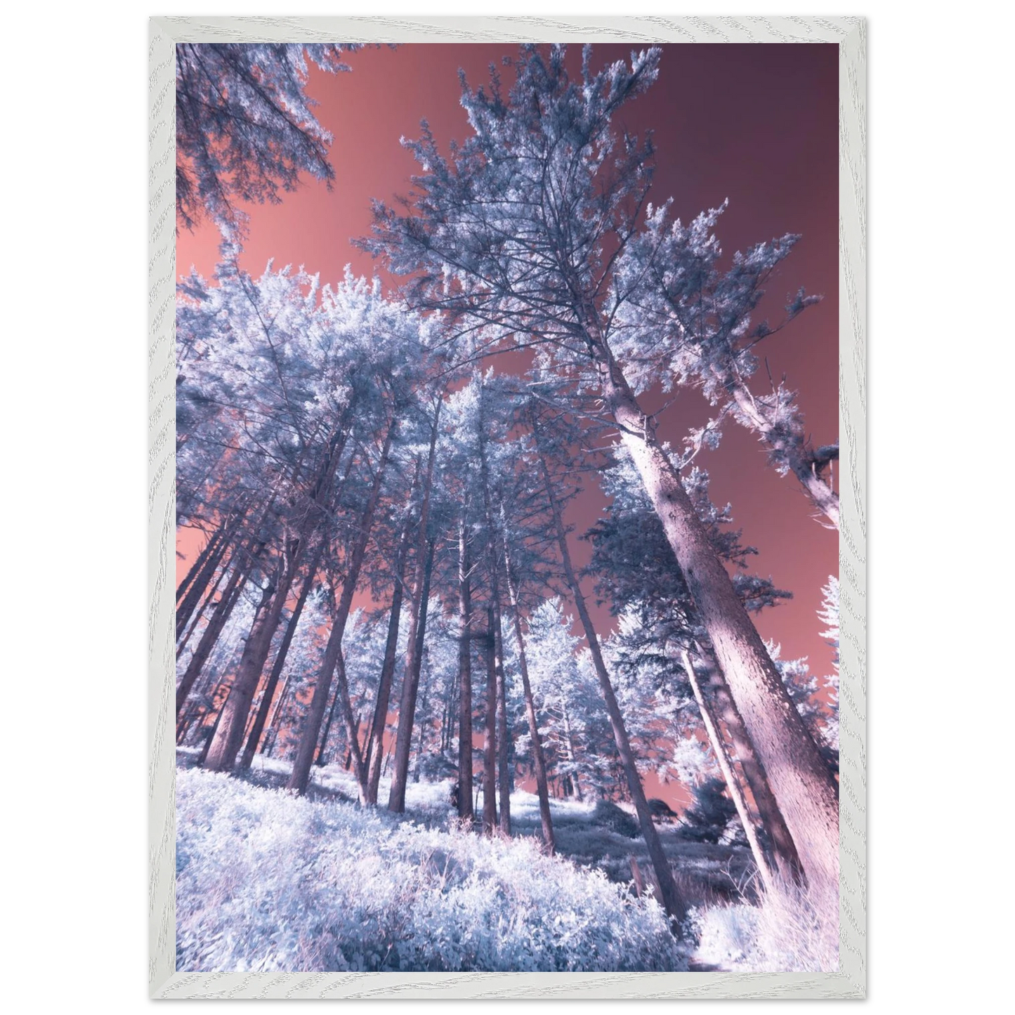 e47bce3e-d591-461b-b7f8-348b0782c0ee