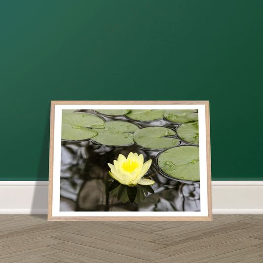 e49b6f19-c68c-4915-b434-59bf100fcd97