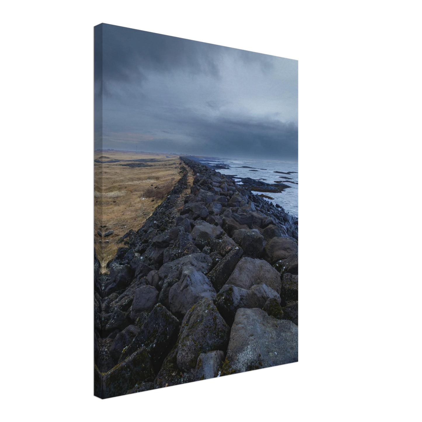 e4e1cfd6-f22d-4d63-9842-97e600b53d7c