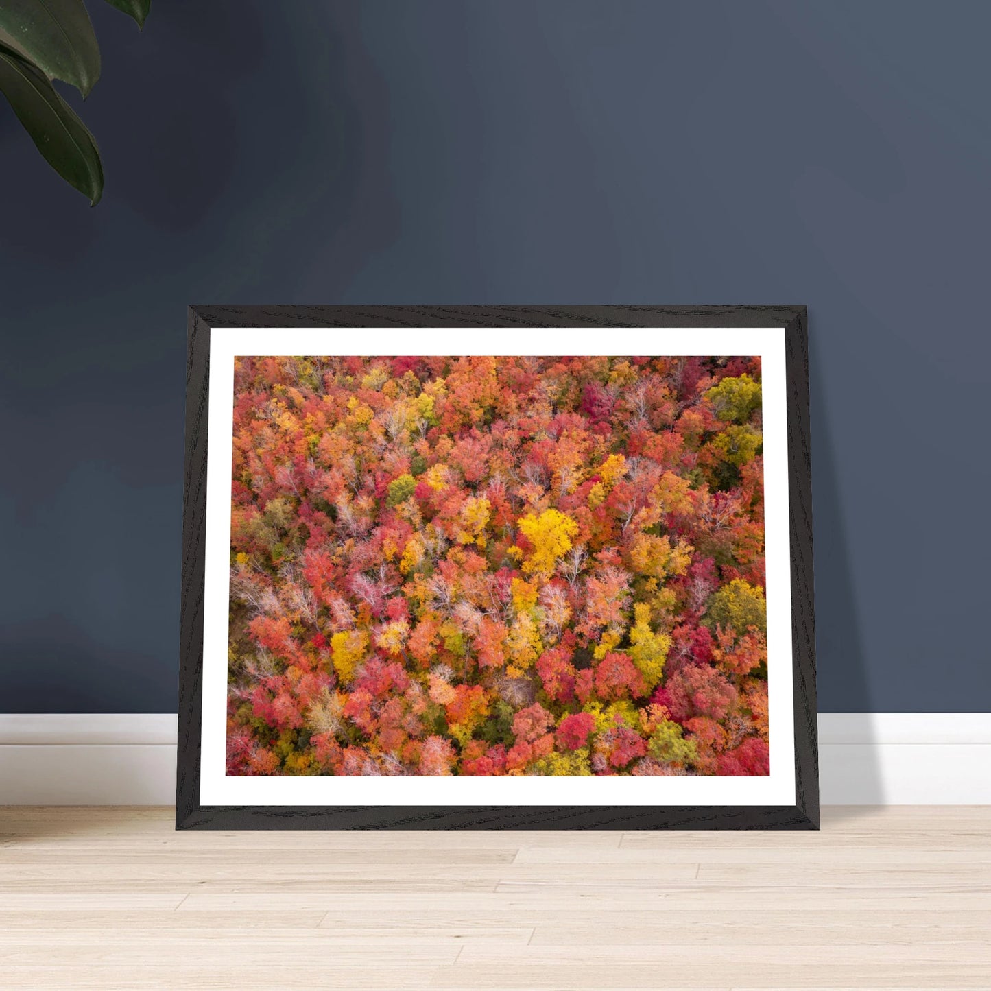 e600c08c-f3d3-4512-adf8-fc63071553d3