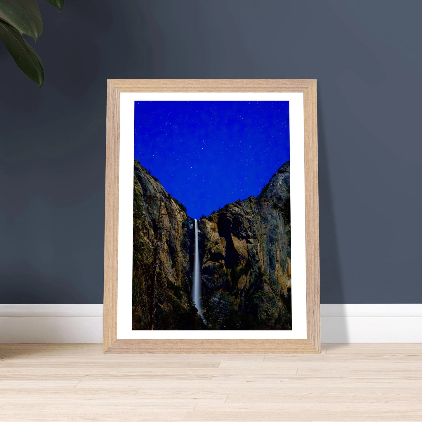 e84751a5-4aac-4be5-ad45-c1644ab3db3a