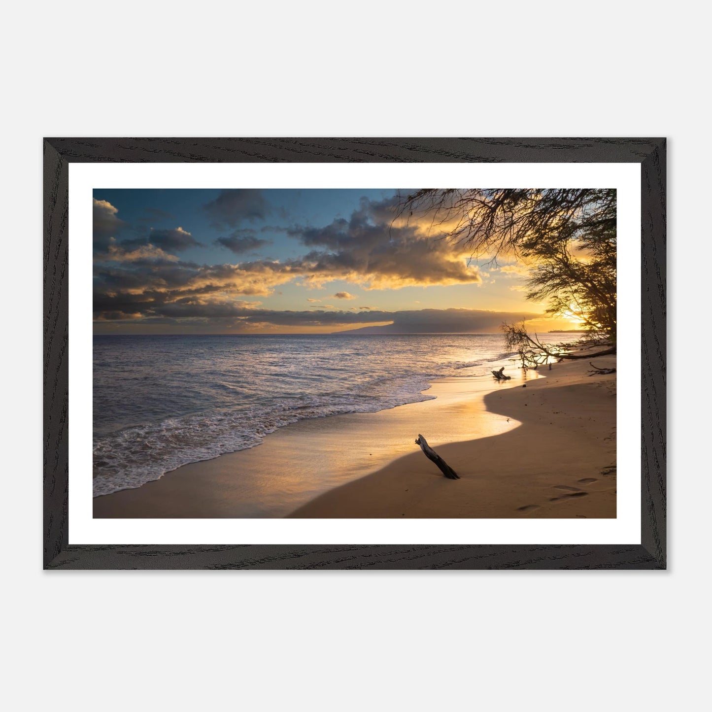 e8f380e8-7bd1-40cf-8485-2ebce2861186