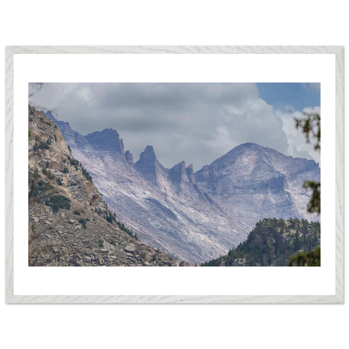 Infrared Redwoods — Dawn Sentinel — framed or canvas wall art preview