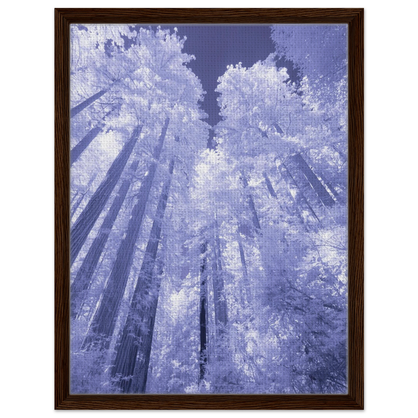 e9554e7c-ca42-4208-8e57-14cdfabccbf3