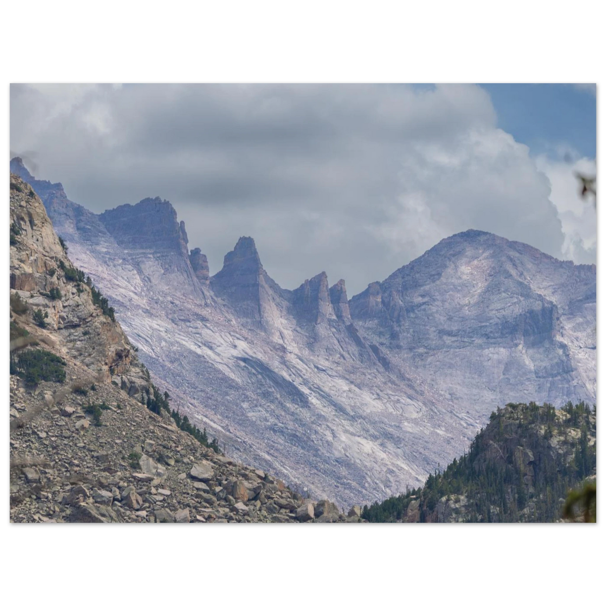 Infrared Redwoods — Dawn Sentinel — framed or canvas wall art preview