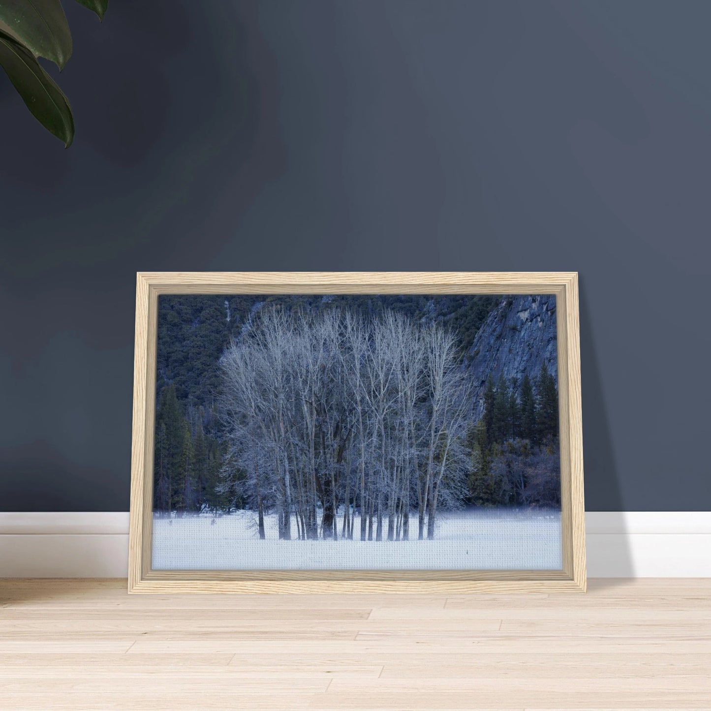 ebf2d68c-915d-45ee-9376-059e4496f57d