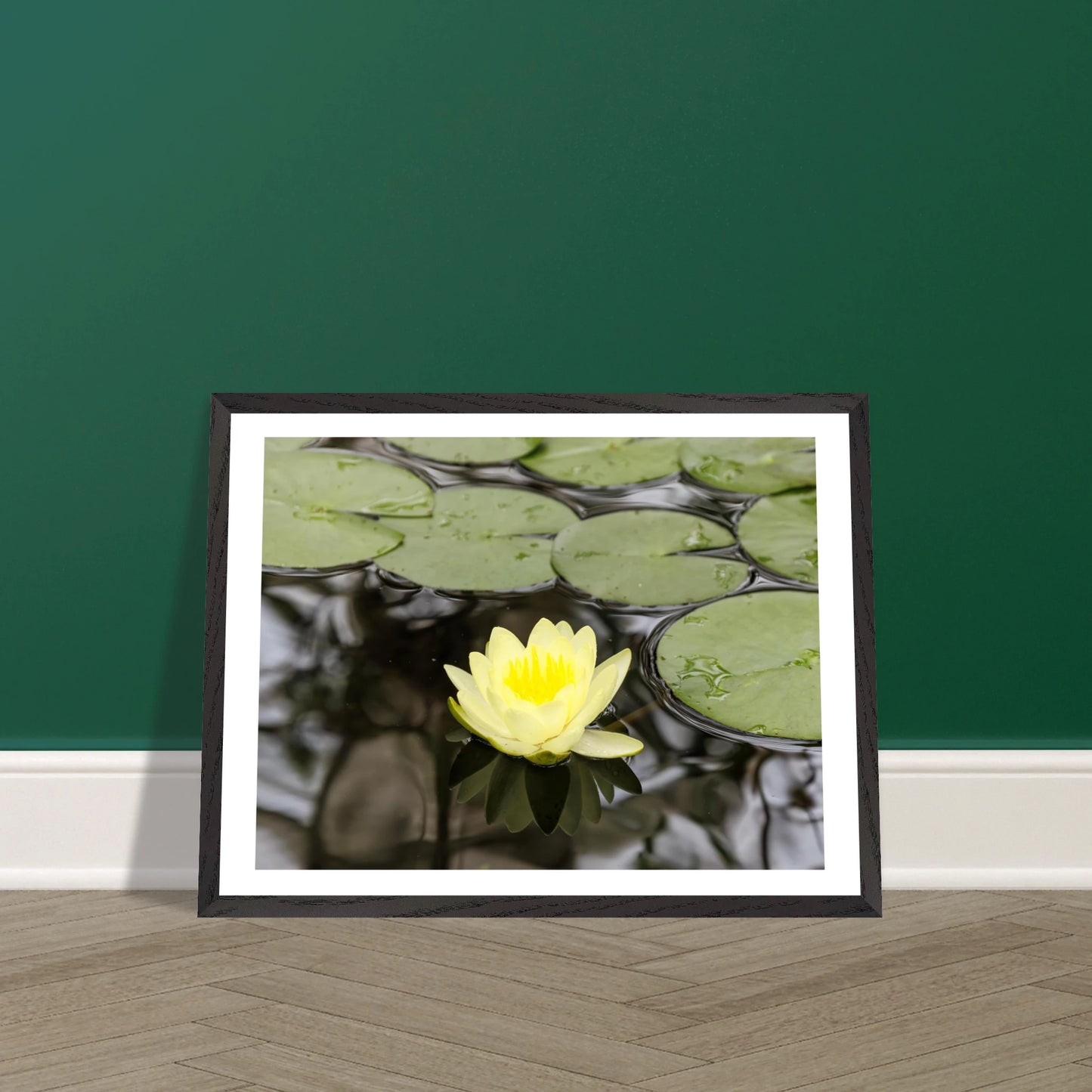 ee61ee51-e879-45c8-aa84-2bc1614b6273