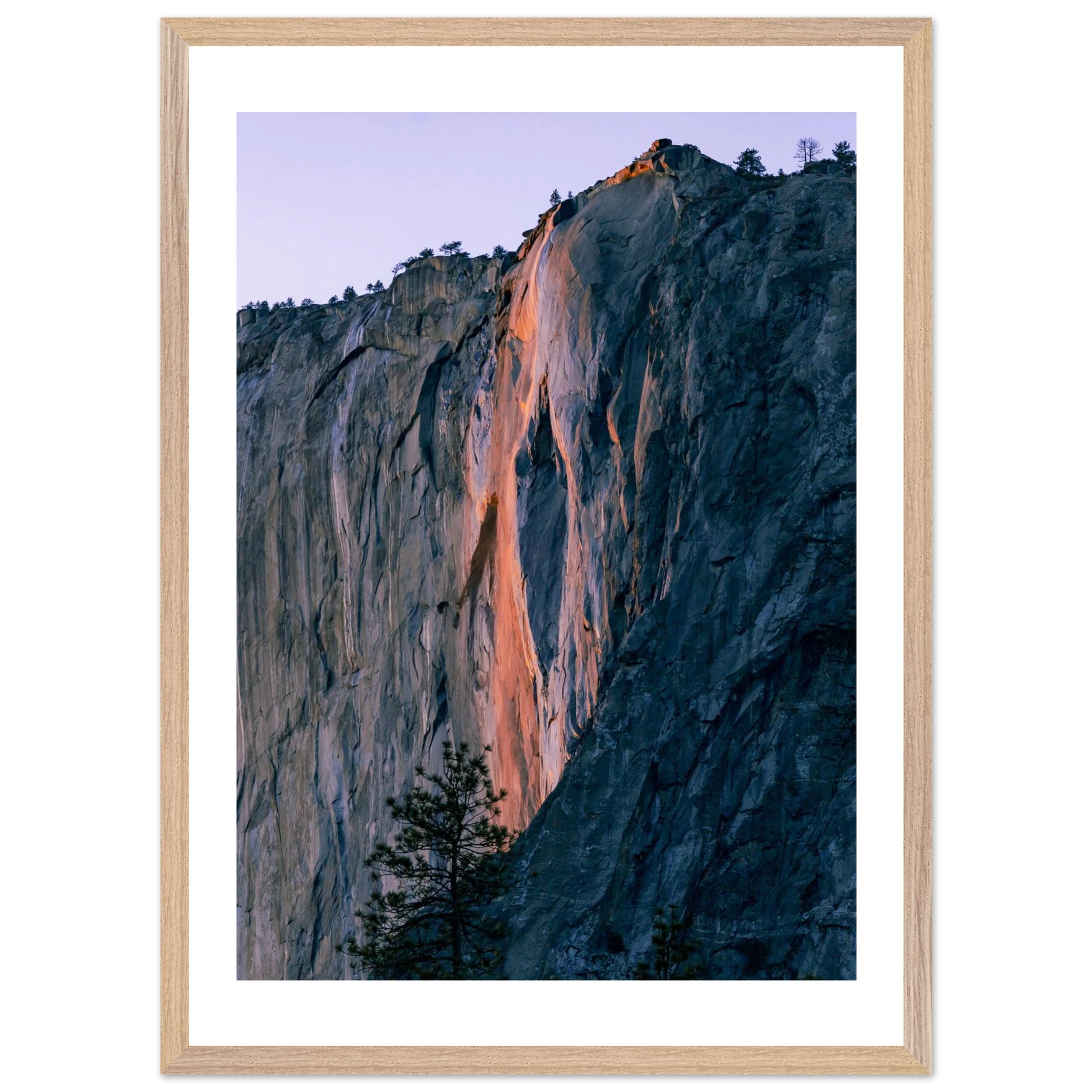 f0369241-1b00-4ddd-a3bc-a7631cfa2769