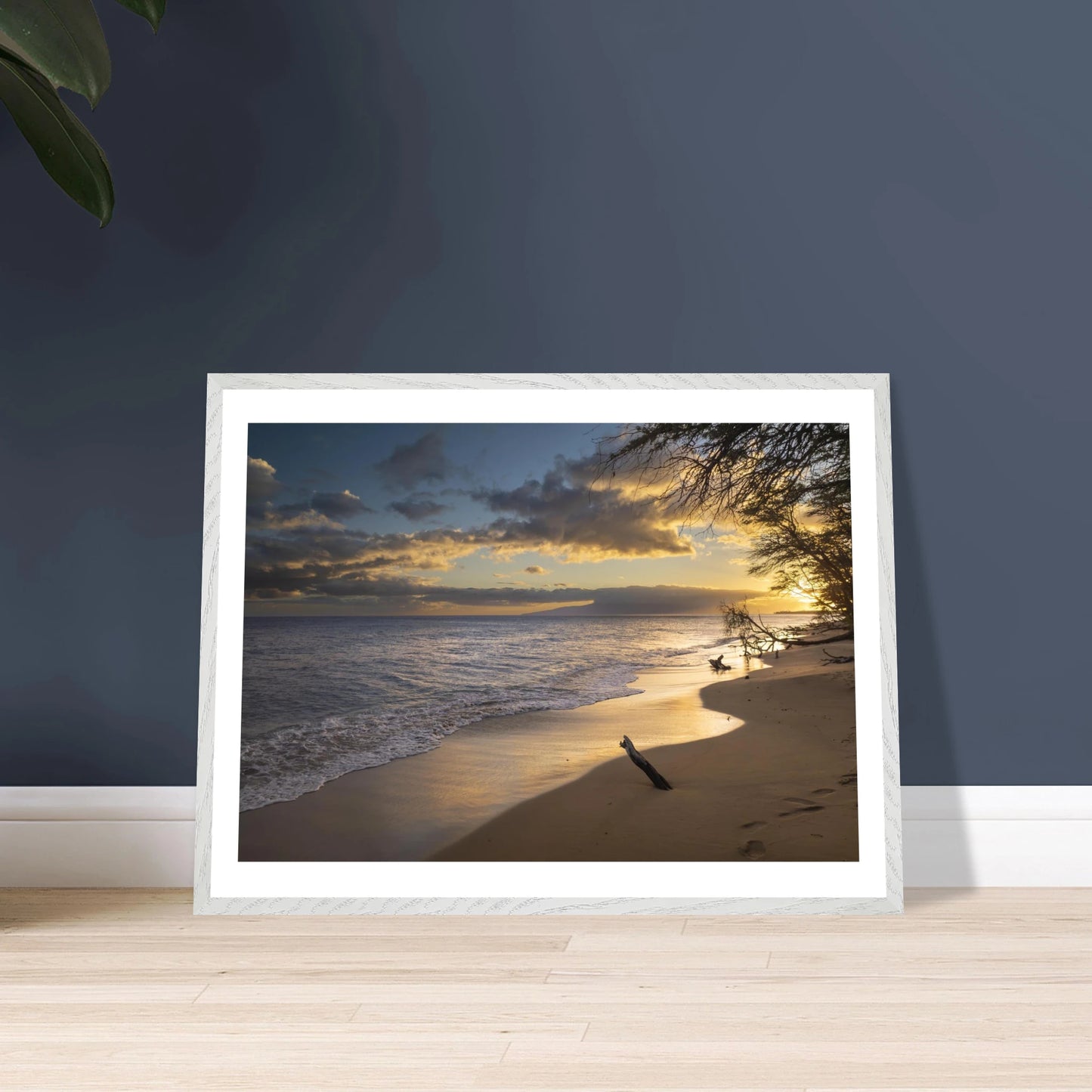 f051736a-68bc-4eea-8267-551b6f4a22ec